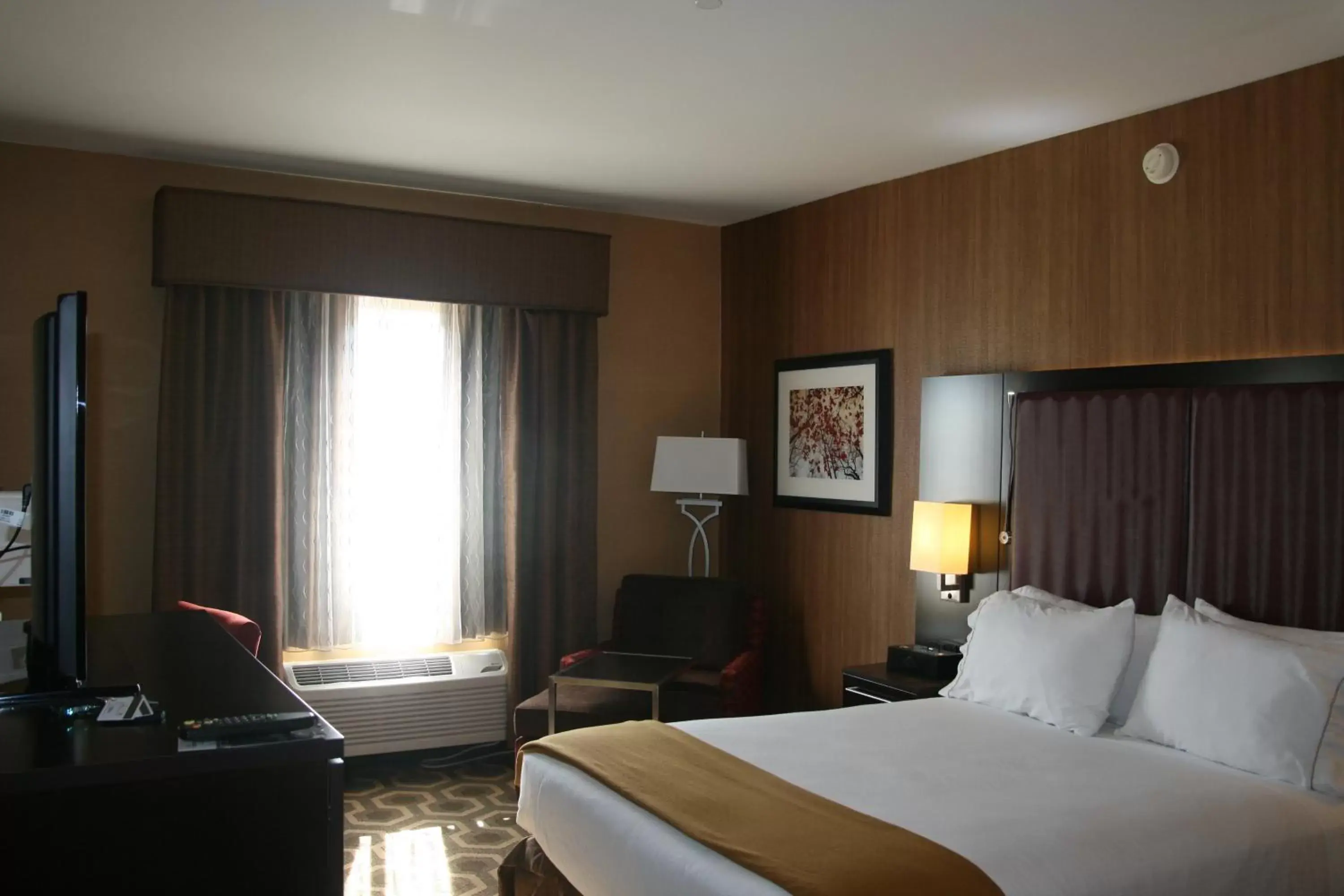 Photo of the whole room, Bed in Holiday Inn Express Hotel & Suites Vineland Millville, an IHG Hotel