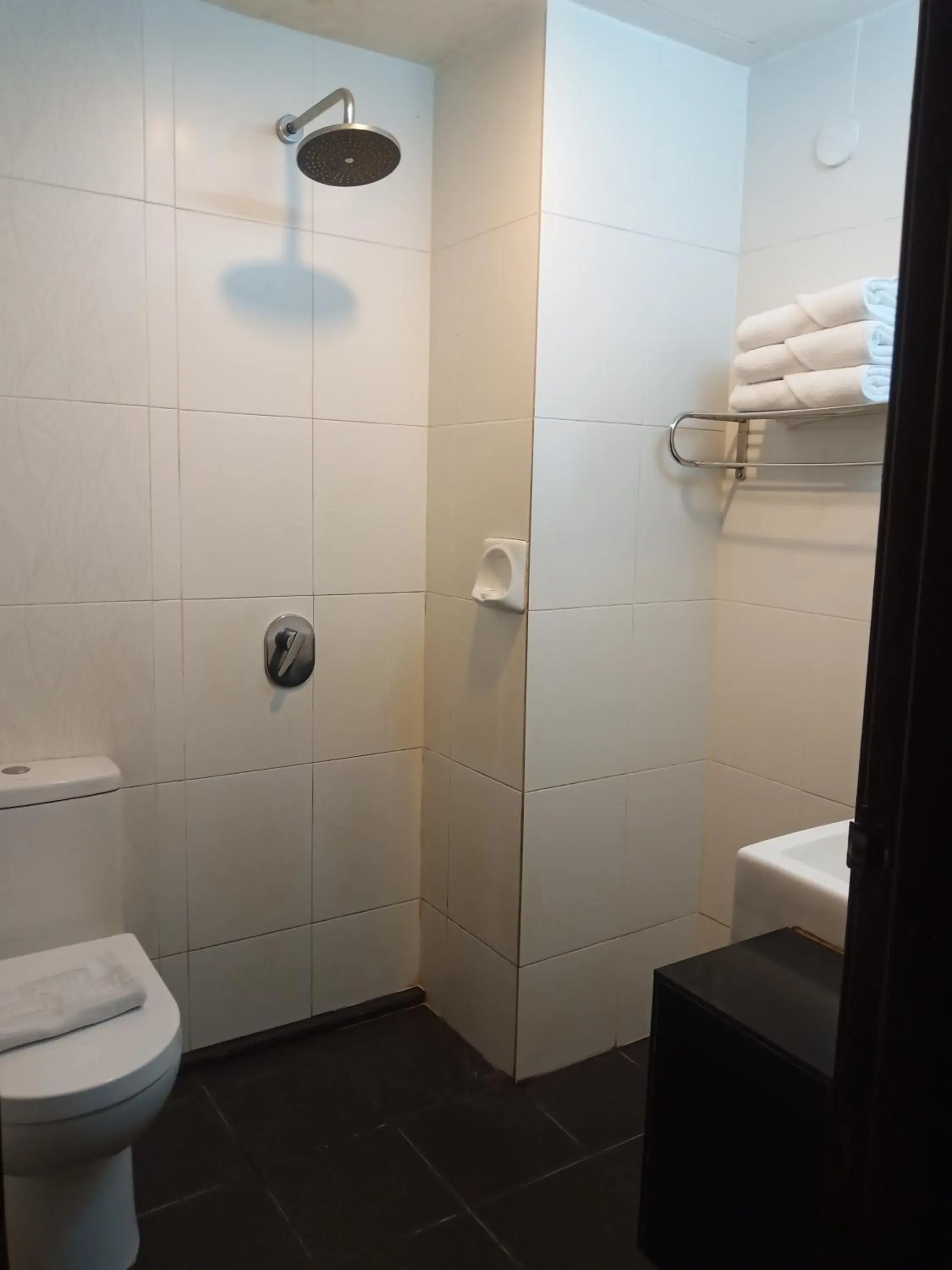 Bathroom in Hotel Taiping Perdana