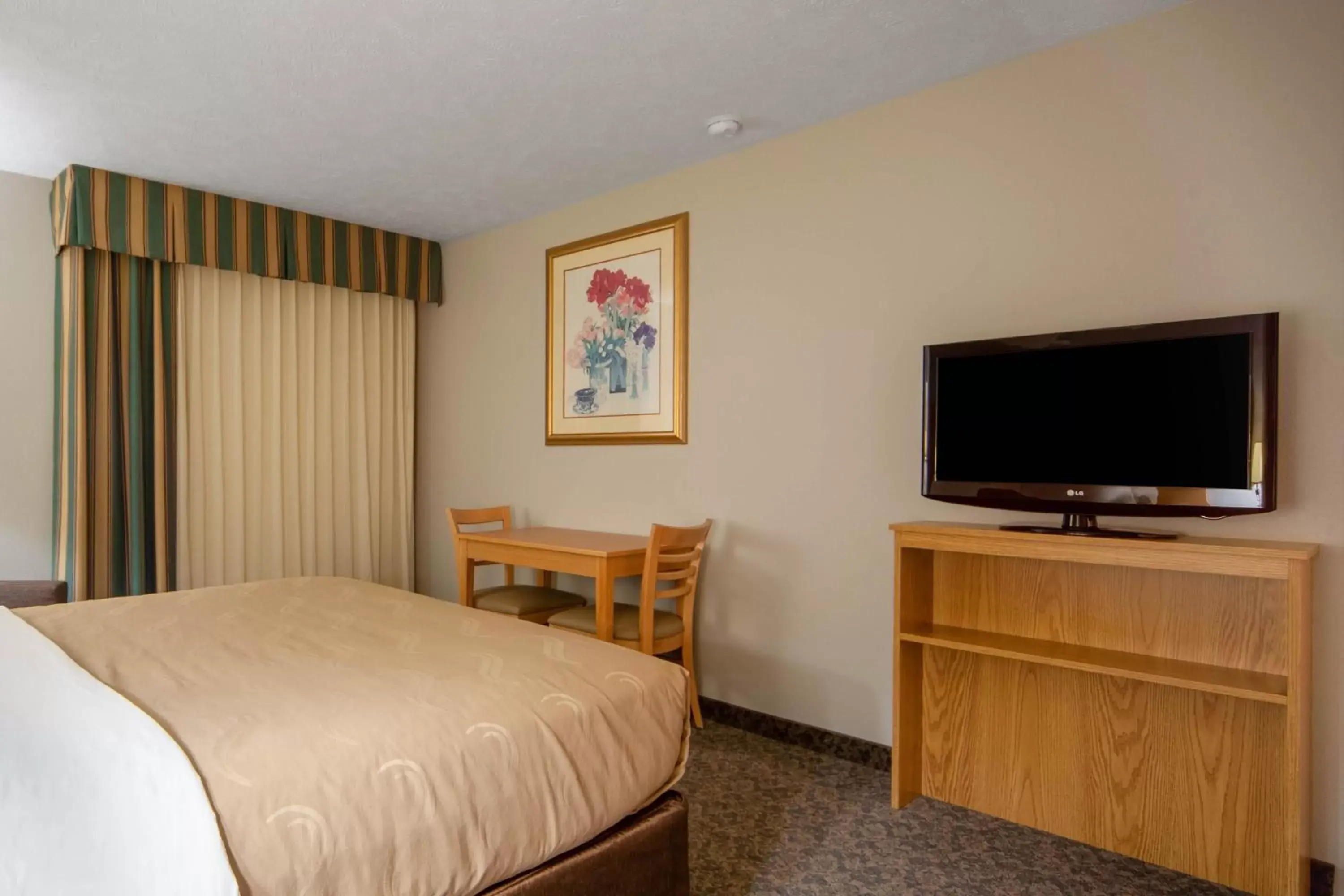 Efficiency Queen Suite - Accessible/Non-Smoking in Suburban Studios I-80 Grand Island