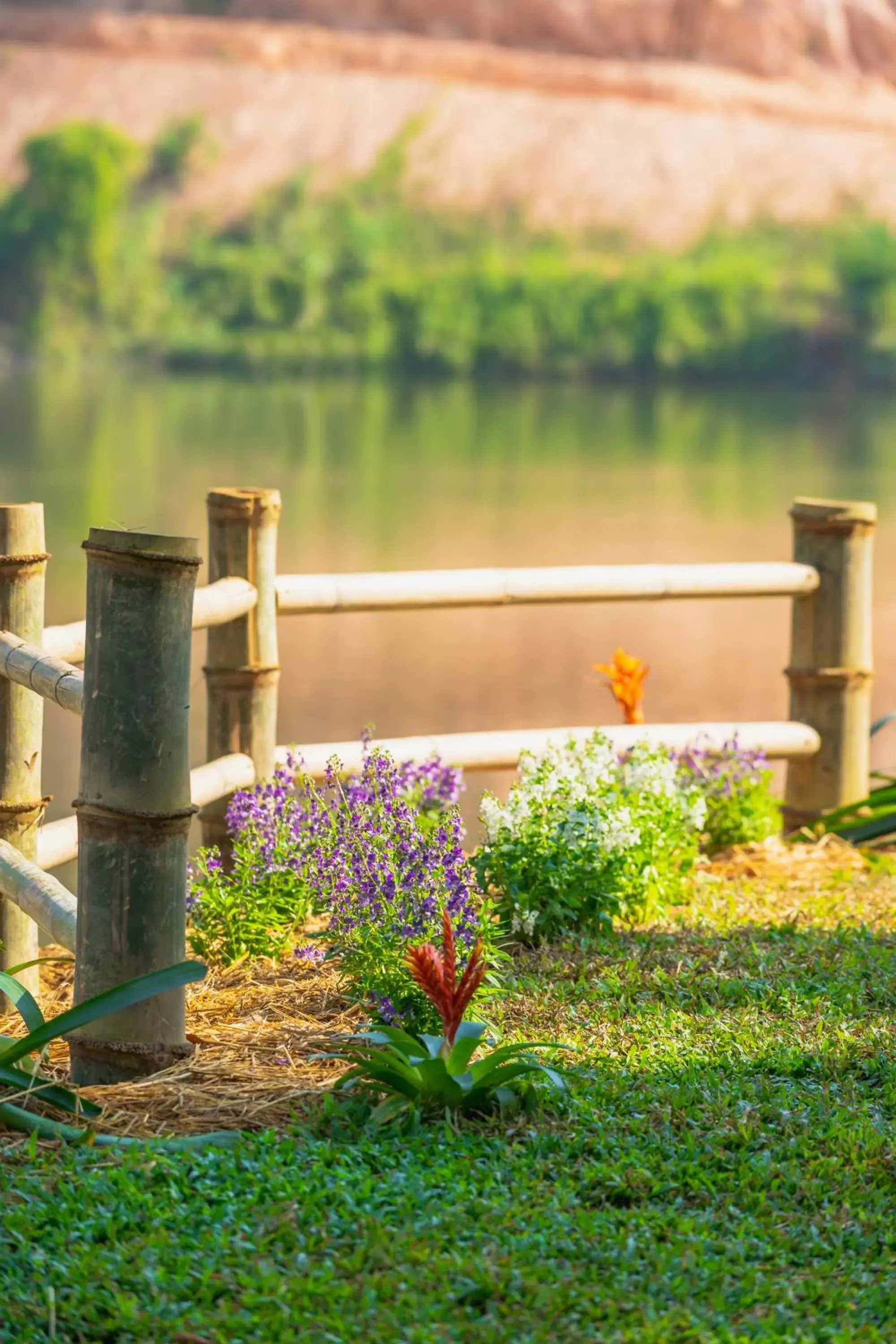 Natural landscape in Katiliya Mountain Resort And Spa