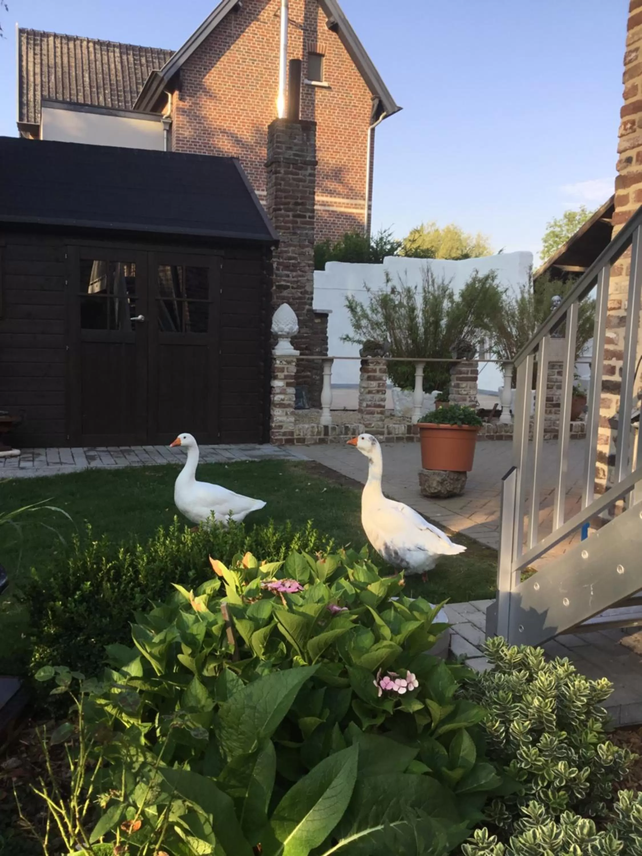 Garden in B&B De Dubbelmolen