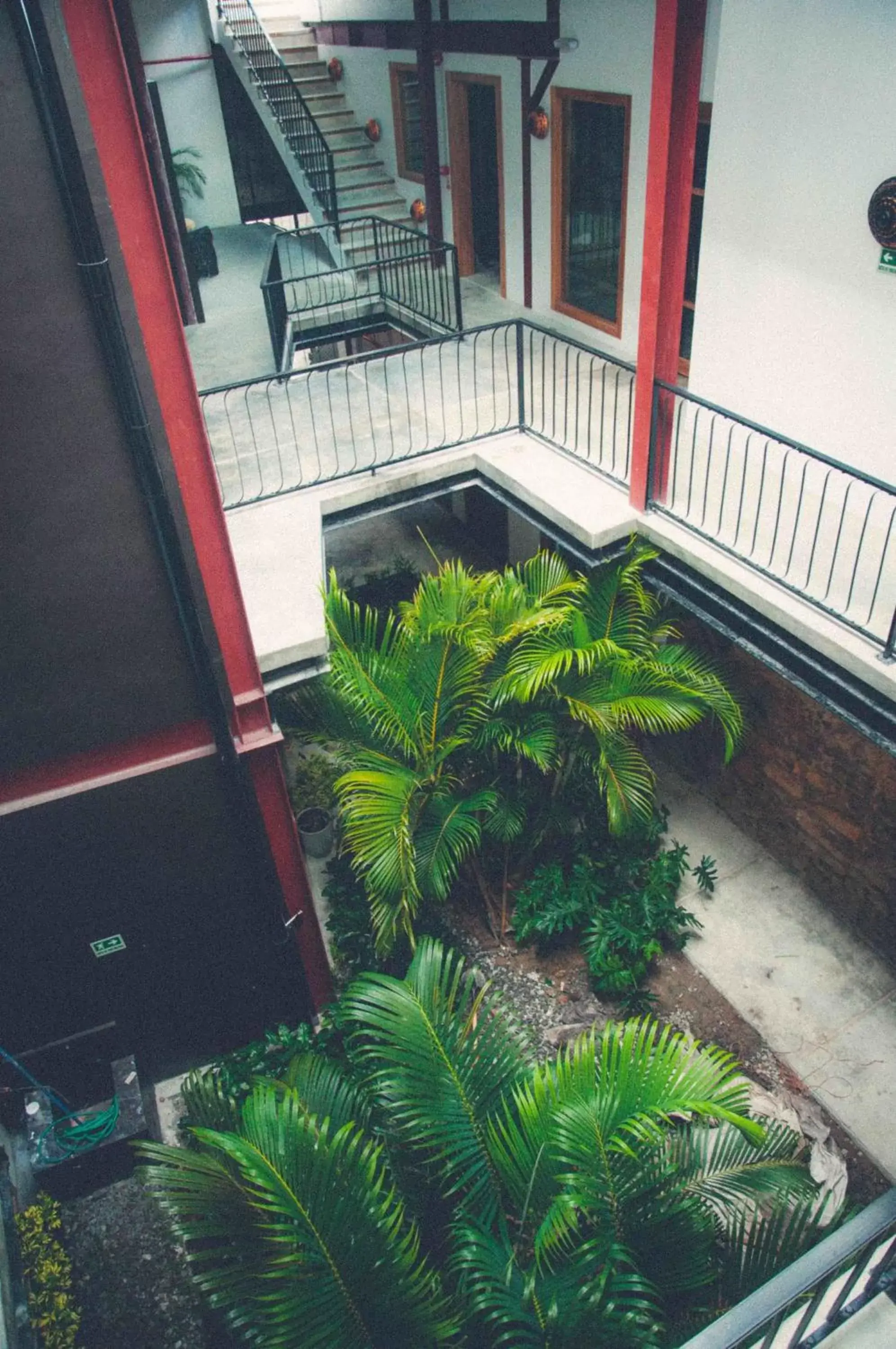 Patio, Balcony/Terrace in Hotel Casa Panama