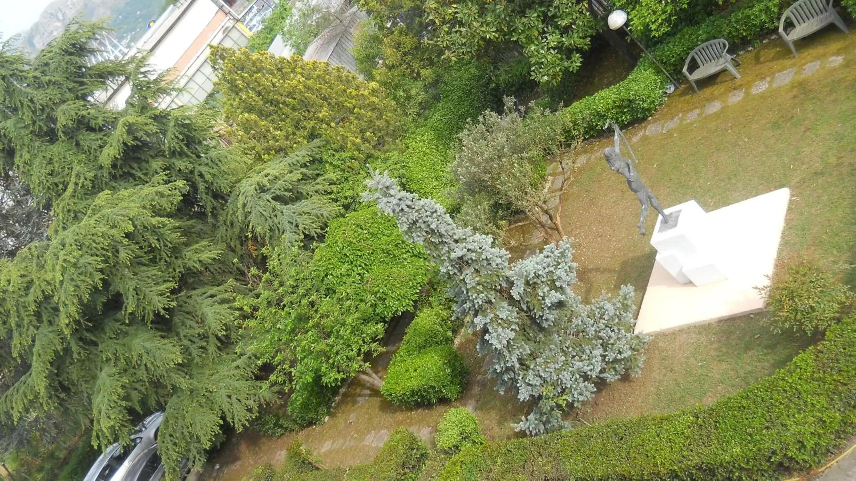 Bird's eye view, Garden in Hotel Diana