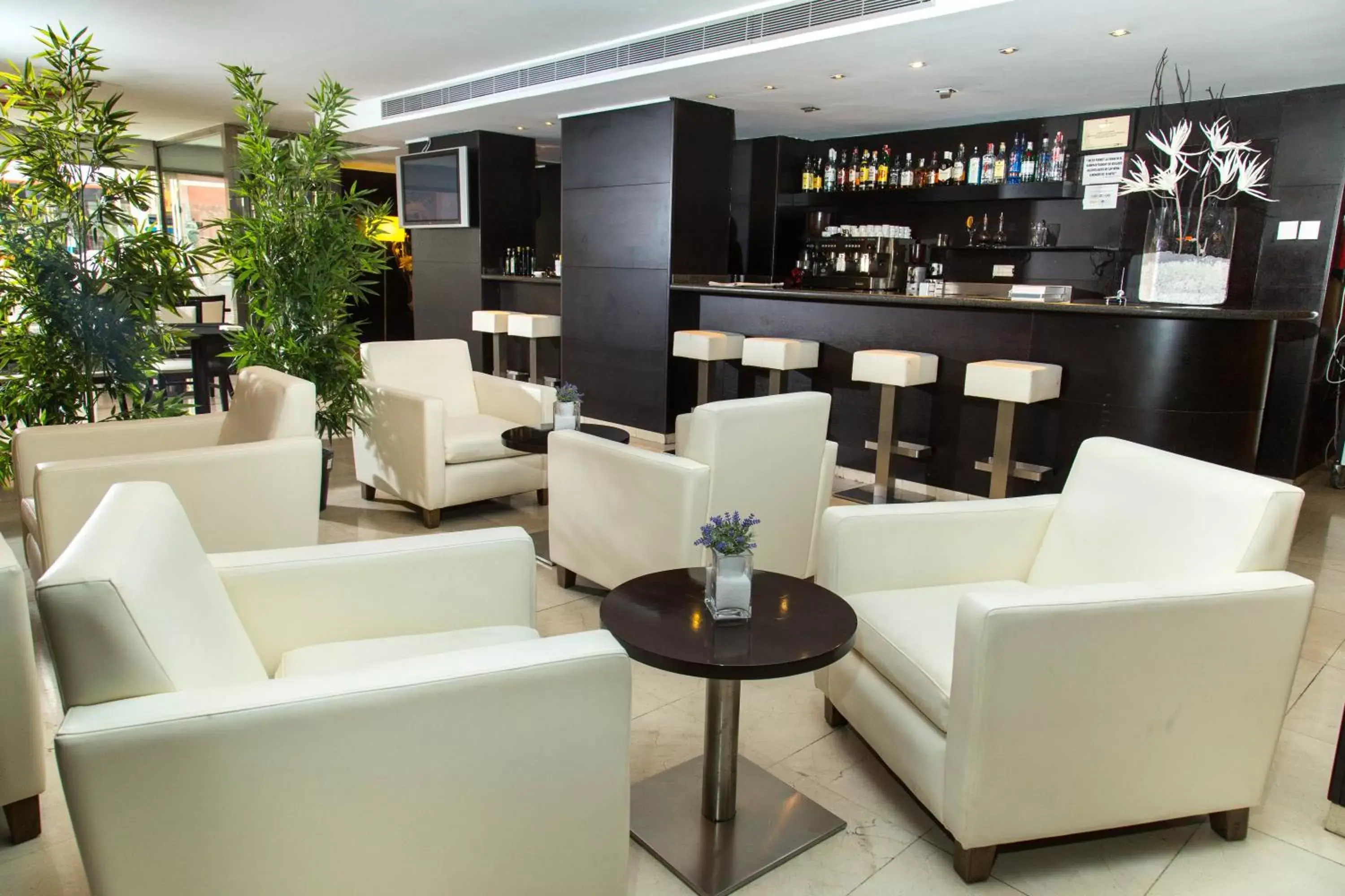 Lounge or bar, Lounge/Bar in Acevi Villarroel