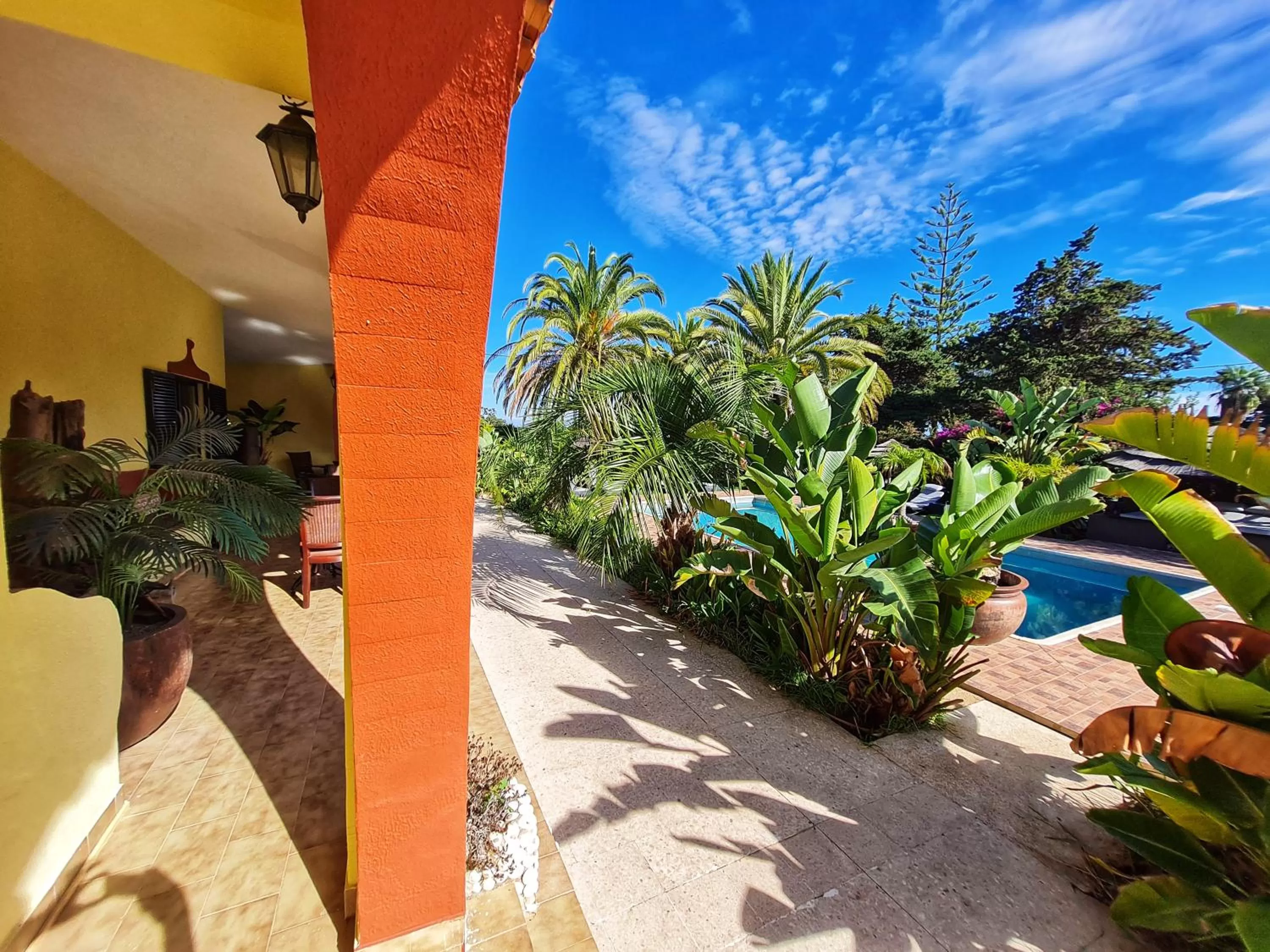 Garden in Villa Paraiso - Naturism Optional Adults Only