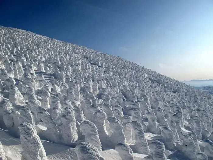 Natural landscape, Winter in Yoshidaya Ryokan