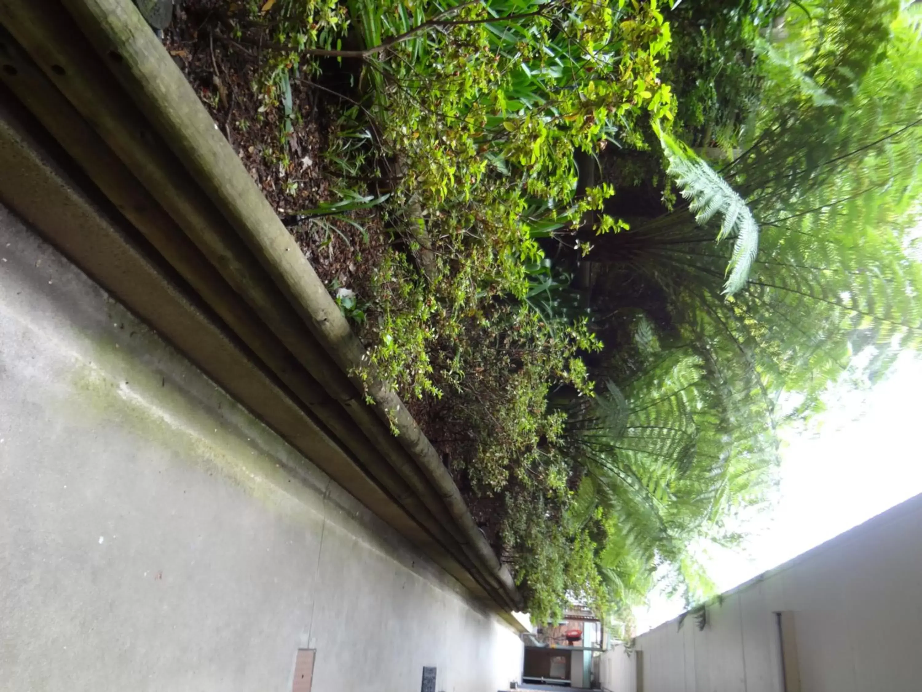 Garden in Adina Place Motel Apartments