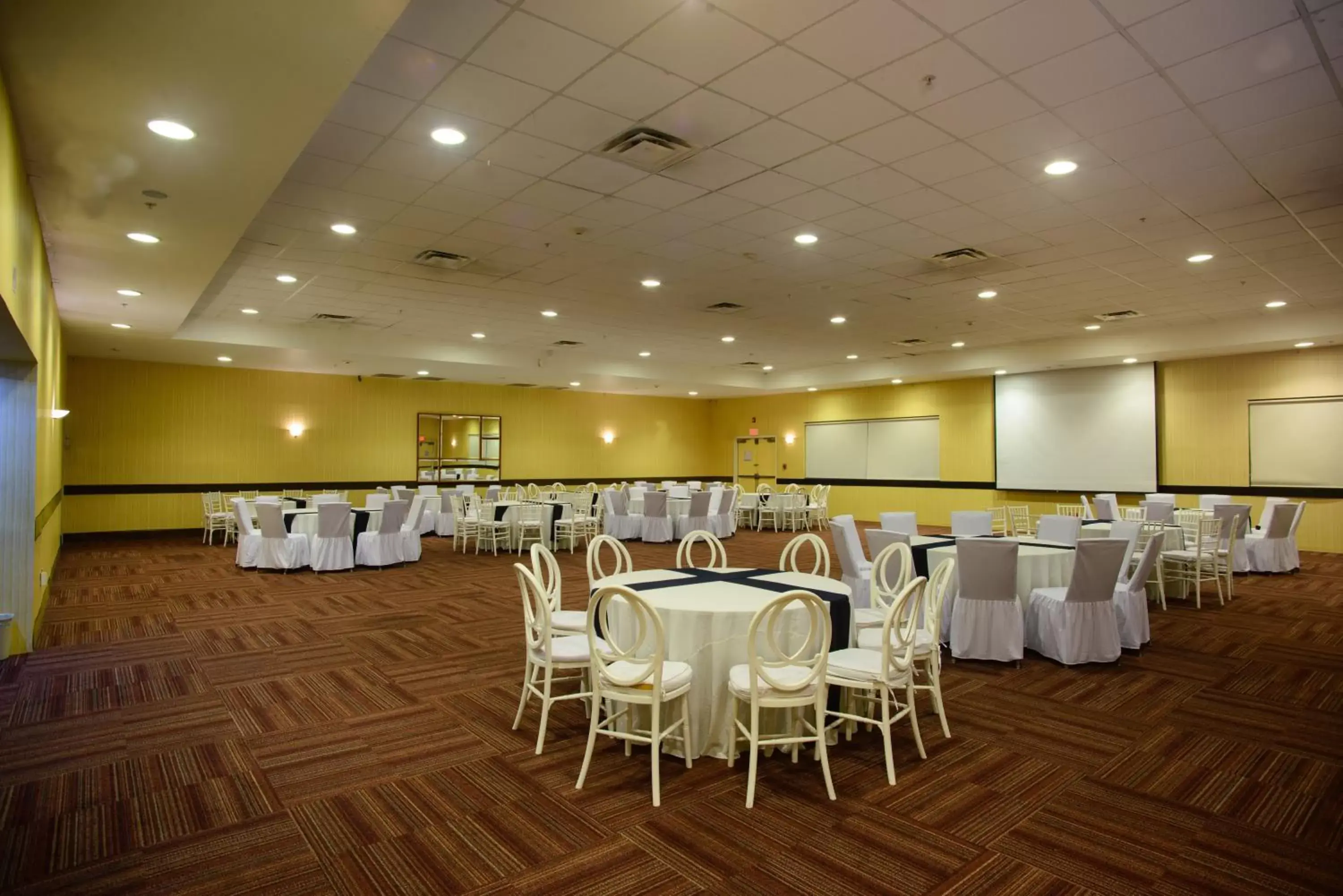 Meeting/conference room, Banquet Facilities in Holiday Inn Express Tapachula, an IHG Hotel