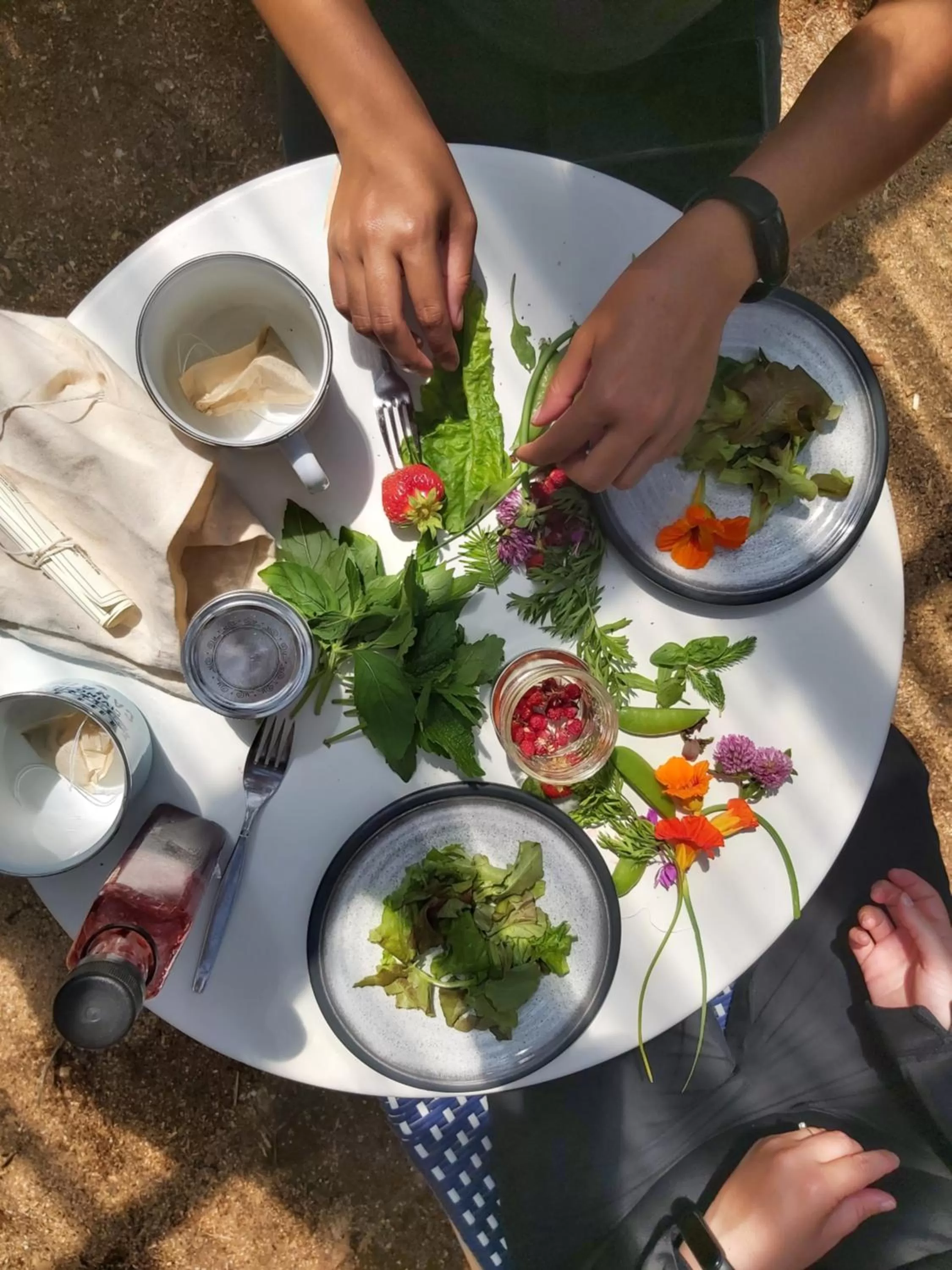 Upper Humber Settlement a FarmStay B&B