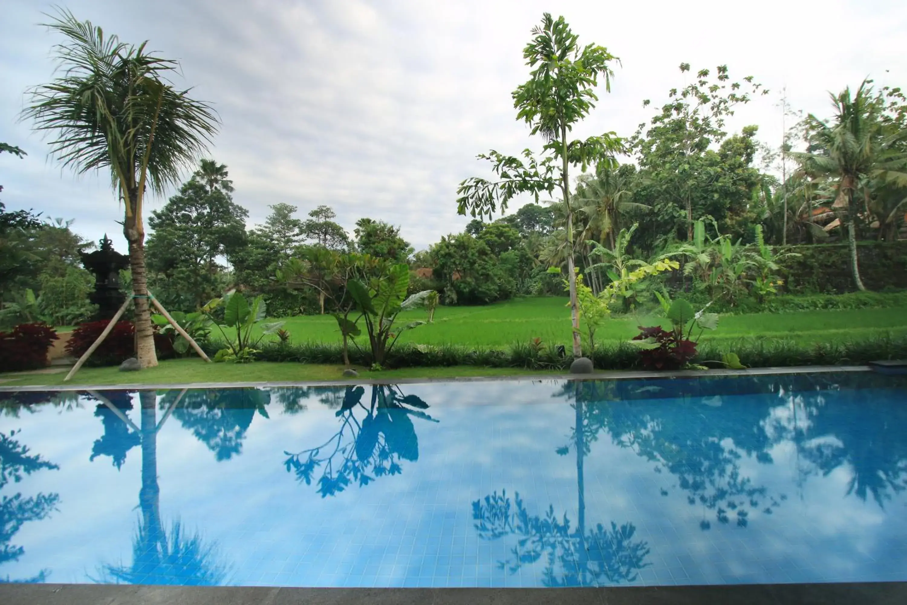 Pool view, Swimming Pool in Byasa Ubud Hotel