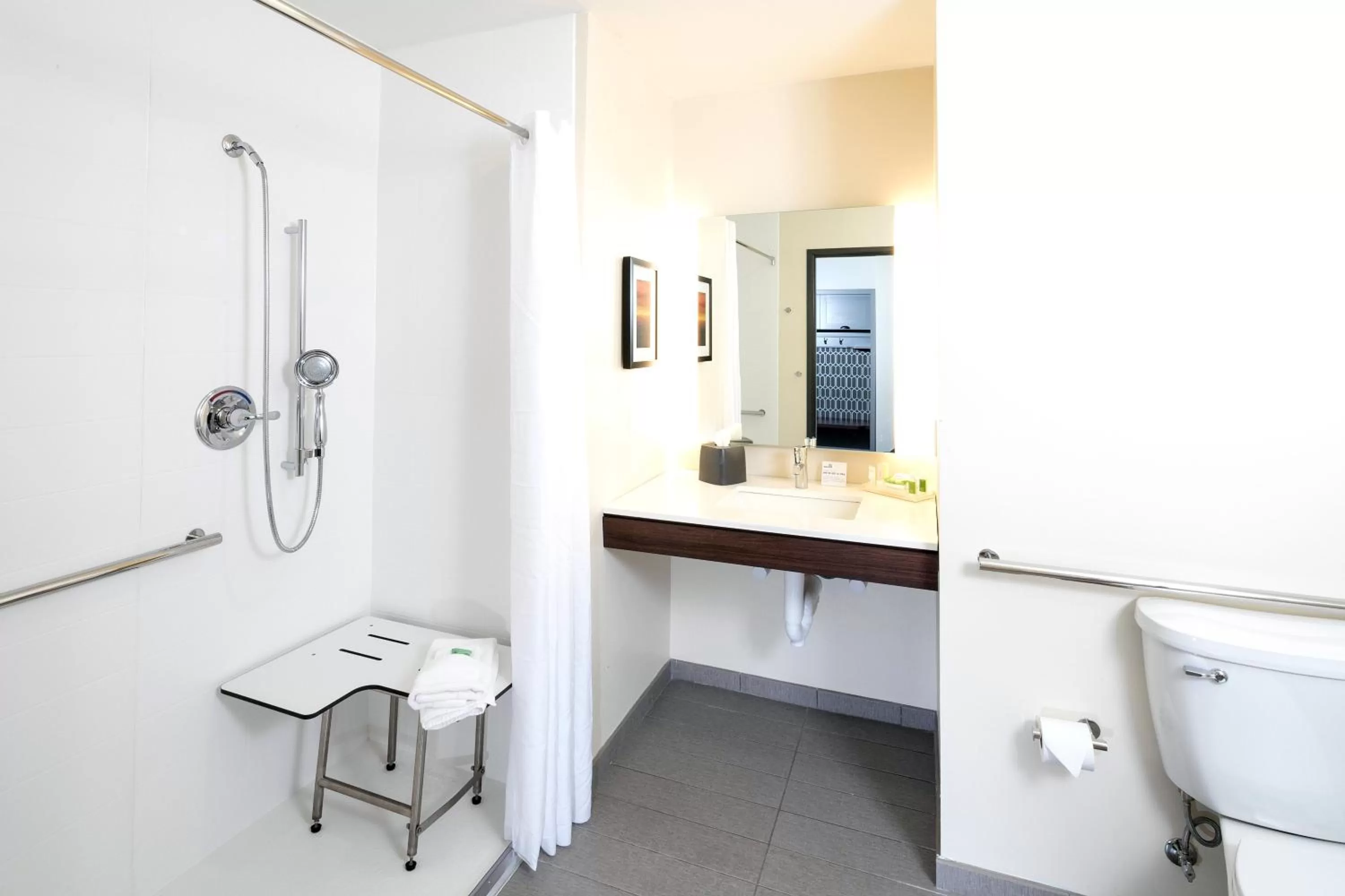 Bathroom in Holiday Inn Hotel & Suites - Mount Pleasant by IHG