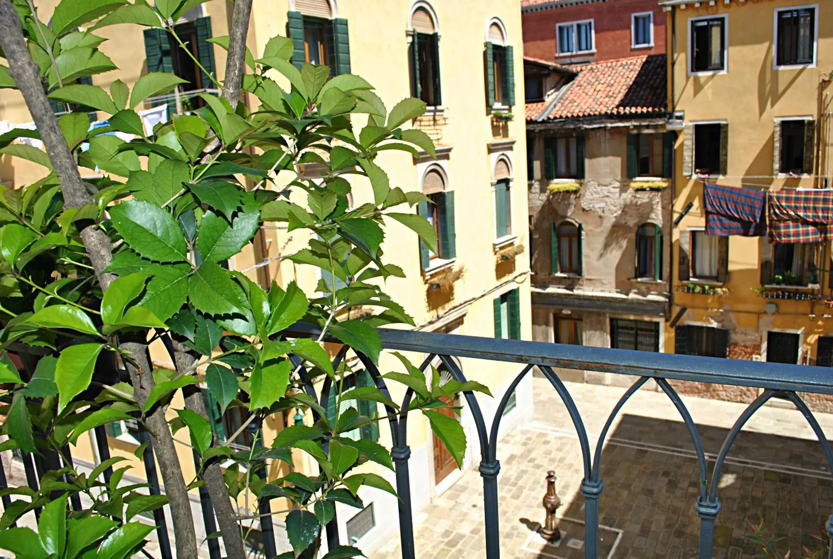 View (from property/room) in Hotel Carlton Capri