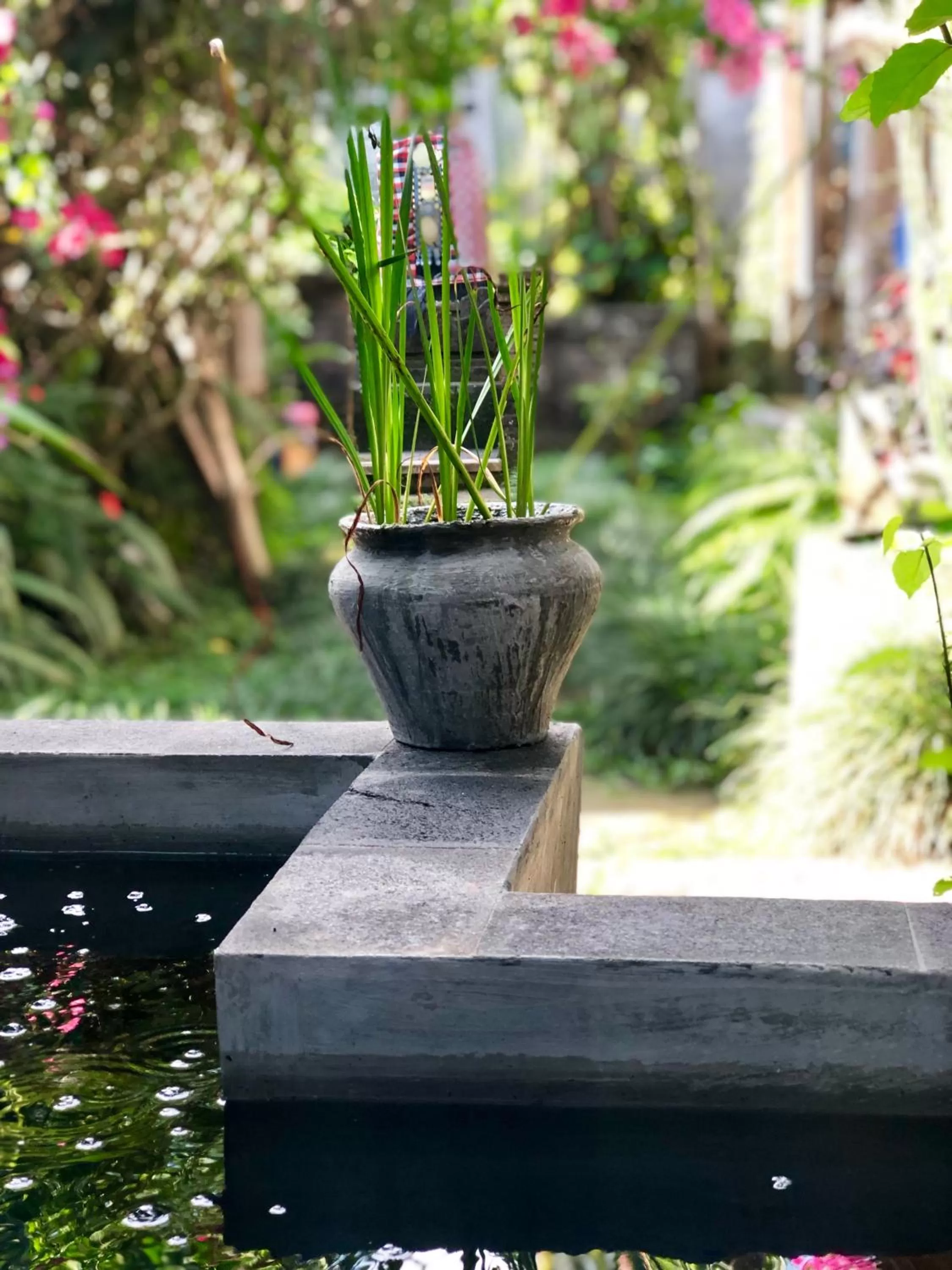 Garden in The Hidden Bali Inn