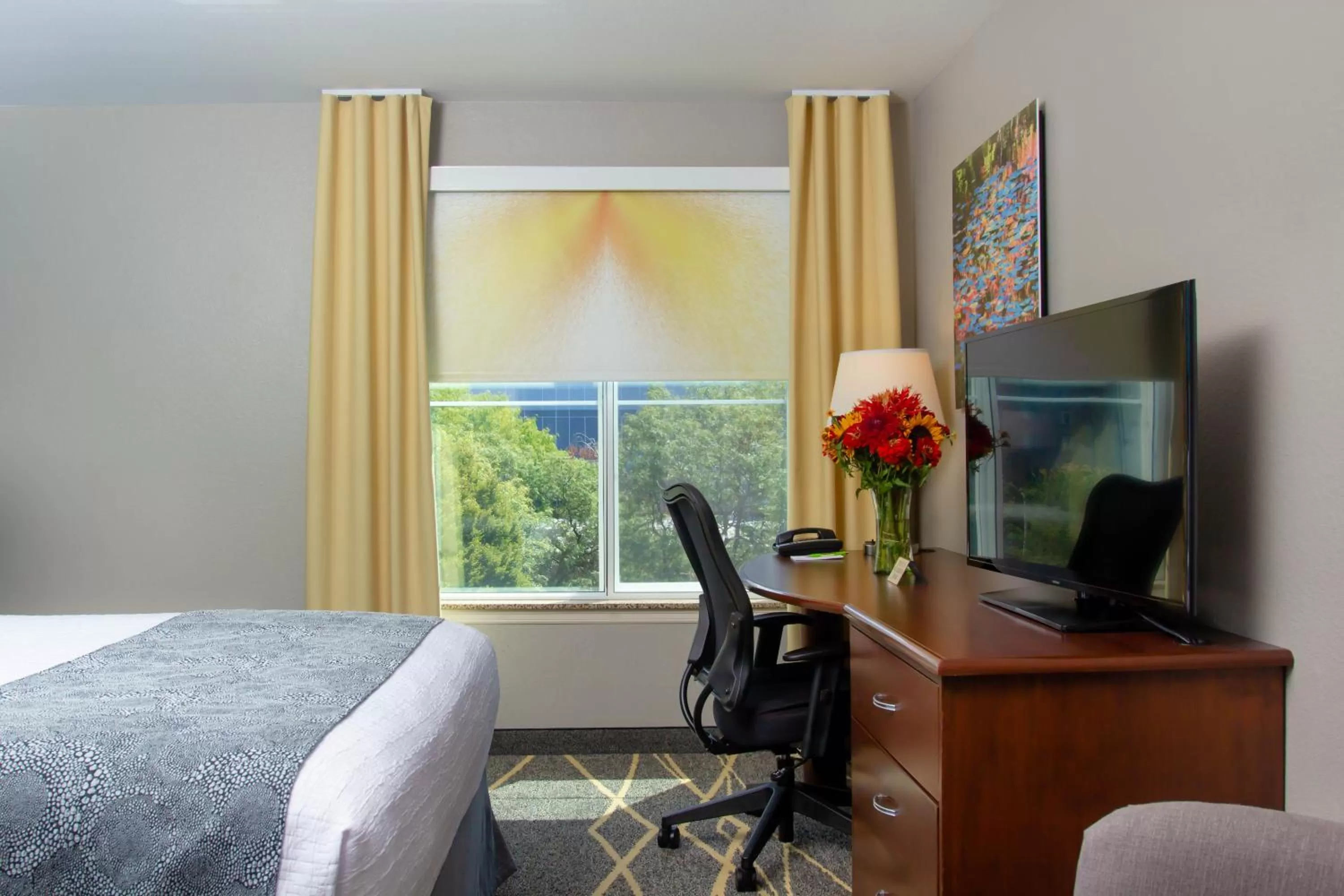 TV and multimedia, Bed in Belltown Inn