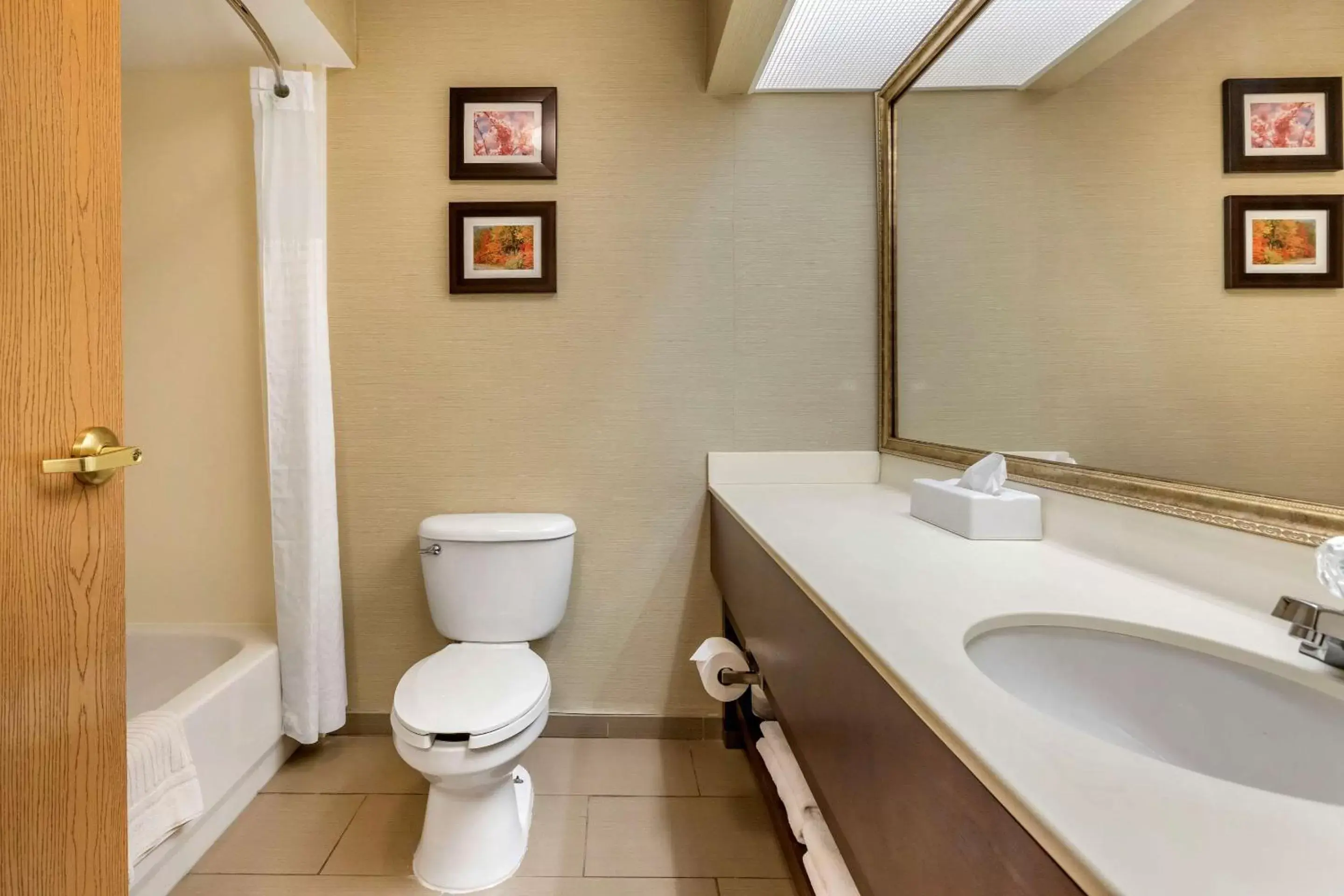 Bathroom in Comfort Inn Charlotte