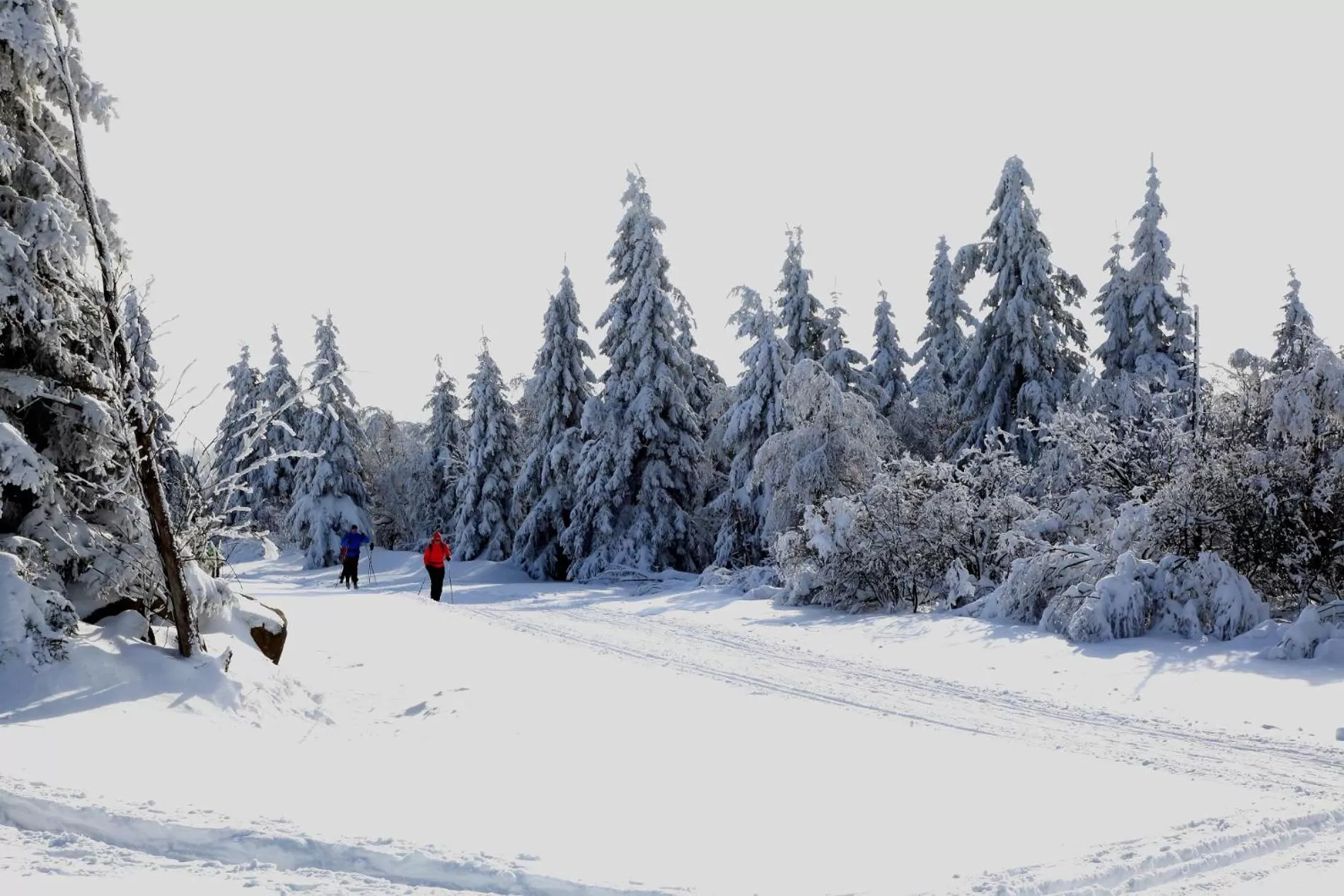 Winter in Hotel Lugsteinhof