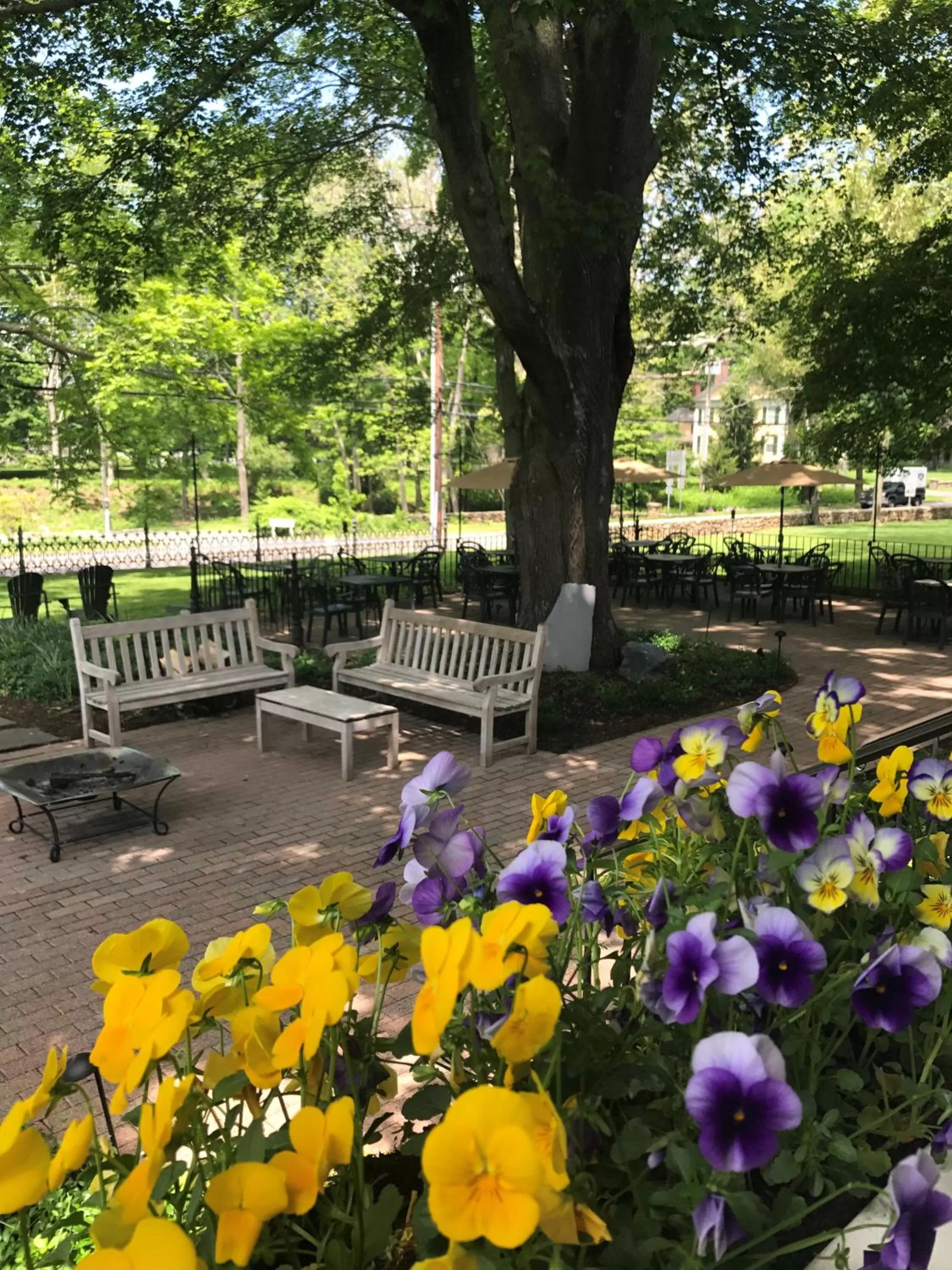 Property building in The Old Lyme Inn