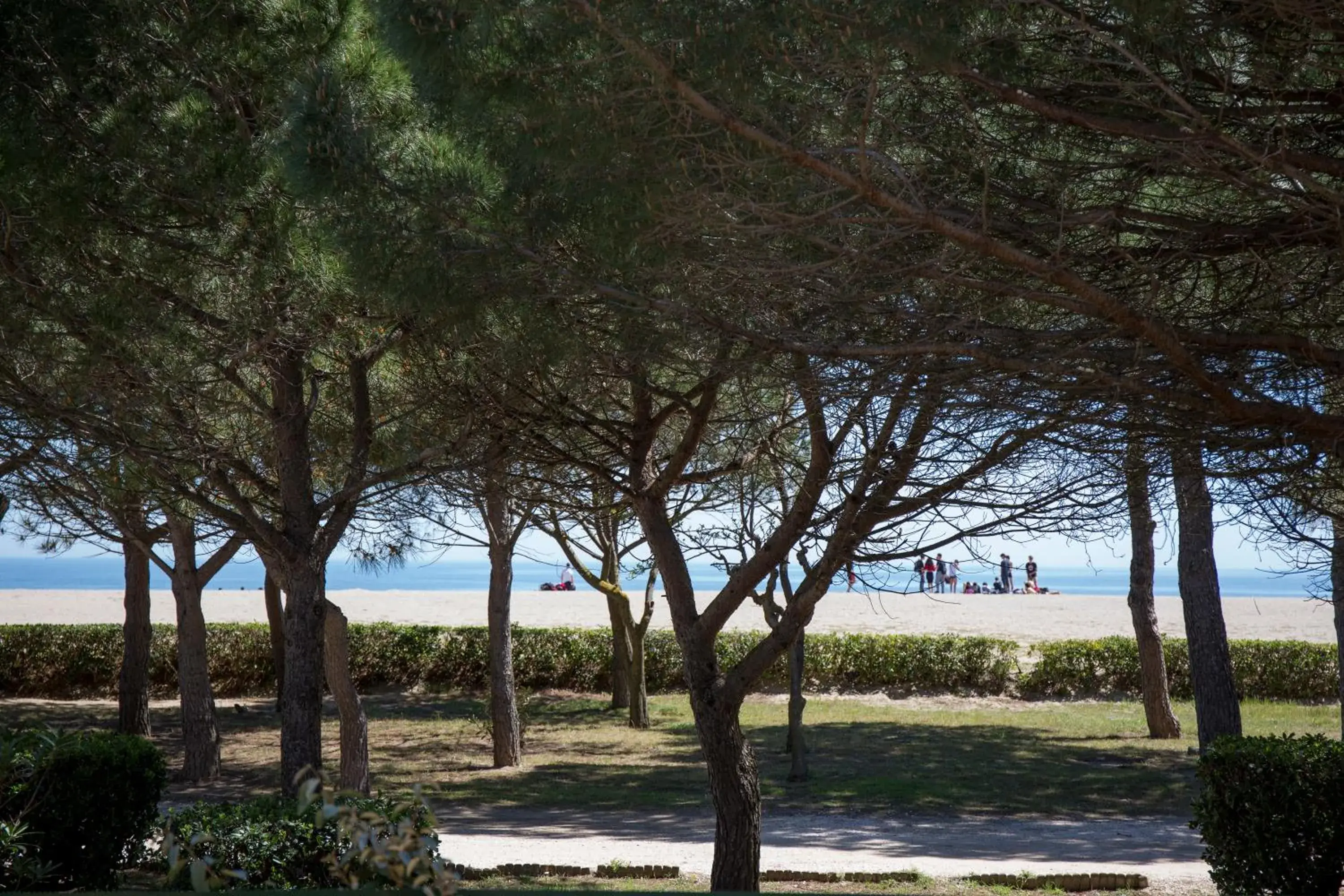 Natural landscape in Grand Hôtel Du Lido