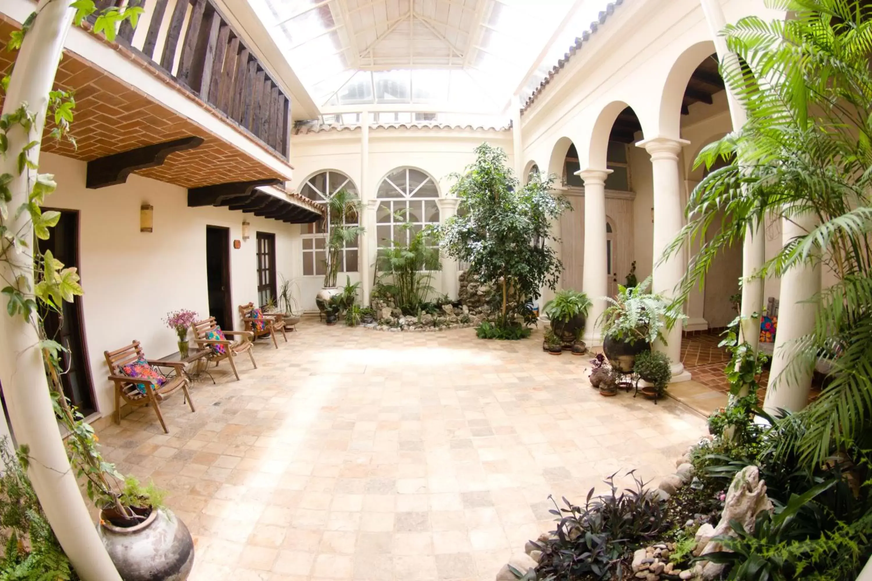 Garden in Hotel Casa Selah