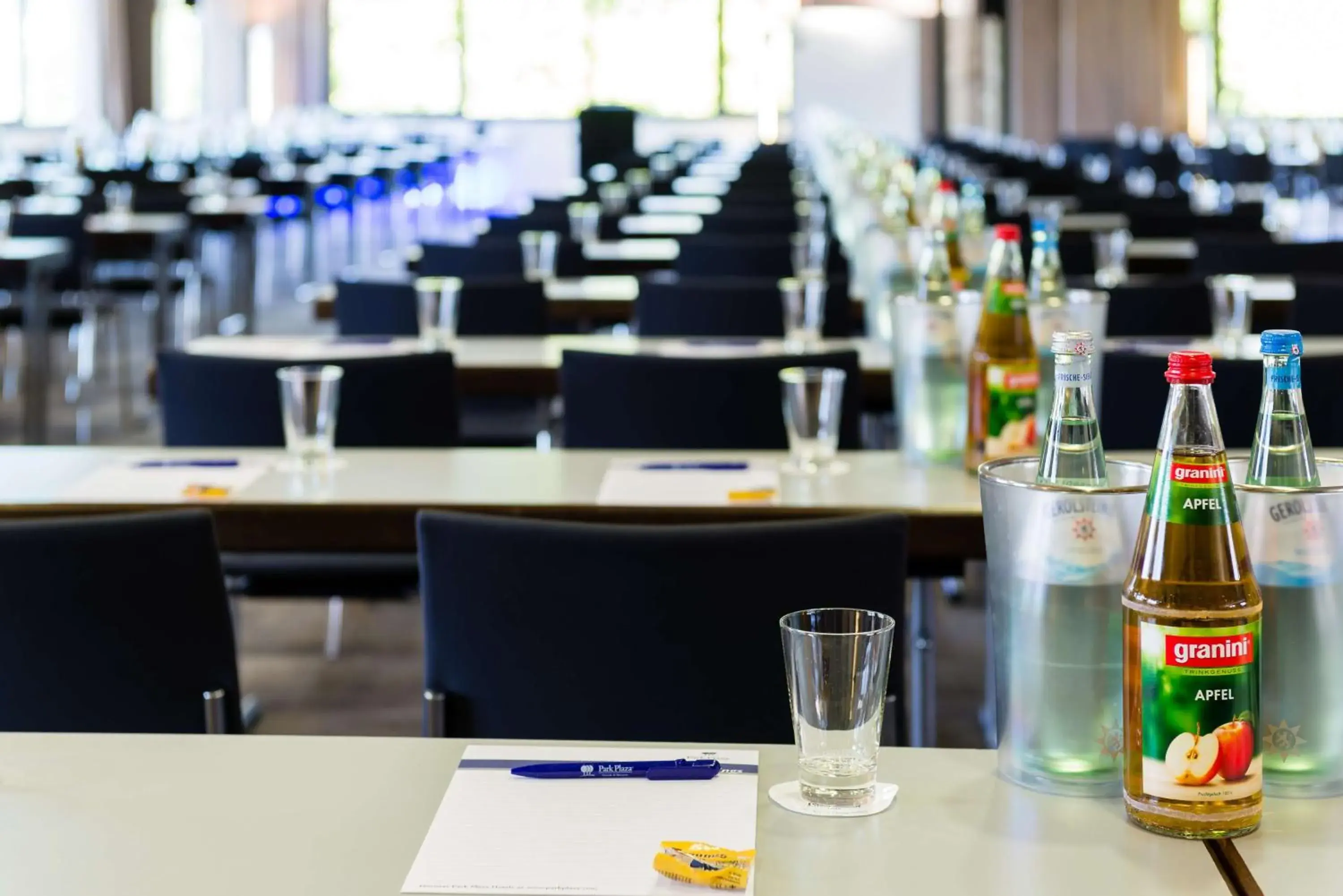 Meeting/conference room in Park Plaza Trier