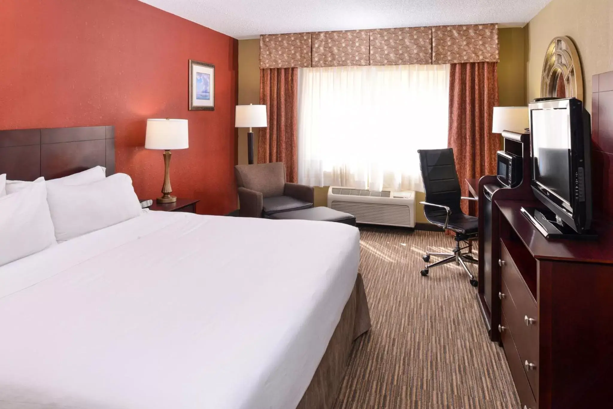 Photo of the whole room, Bed in Holiday Inn Express Hotel Clearwater East - ICOT Center, an IHG Hotel