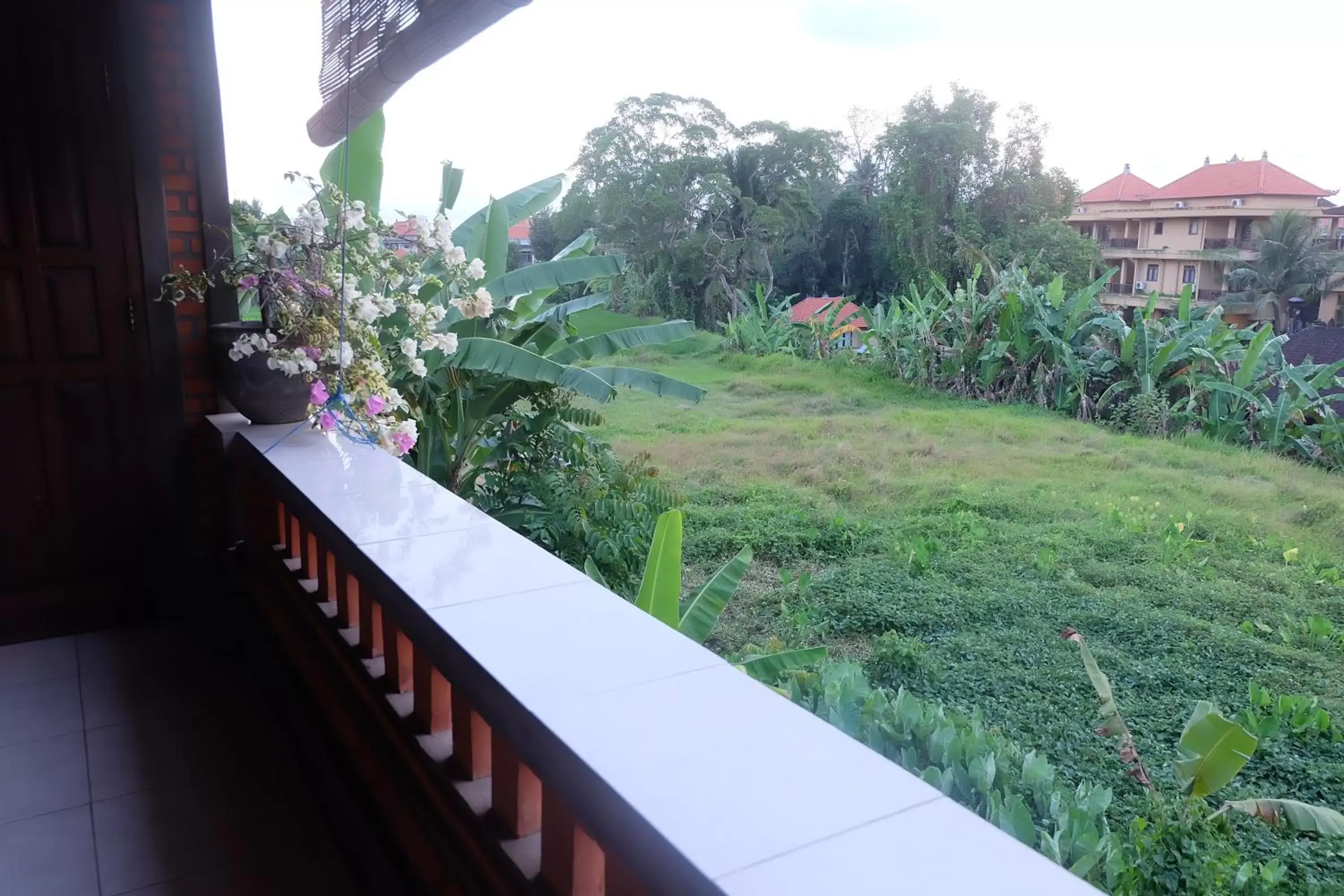 Natural landscape, Balcony/Terrace in Ubud Sensasi Bungalow