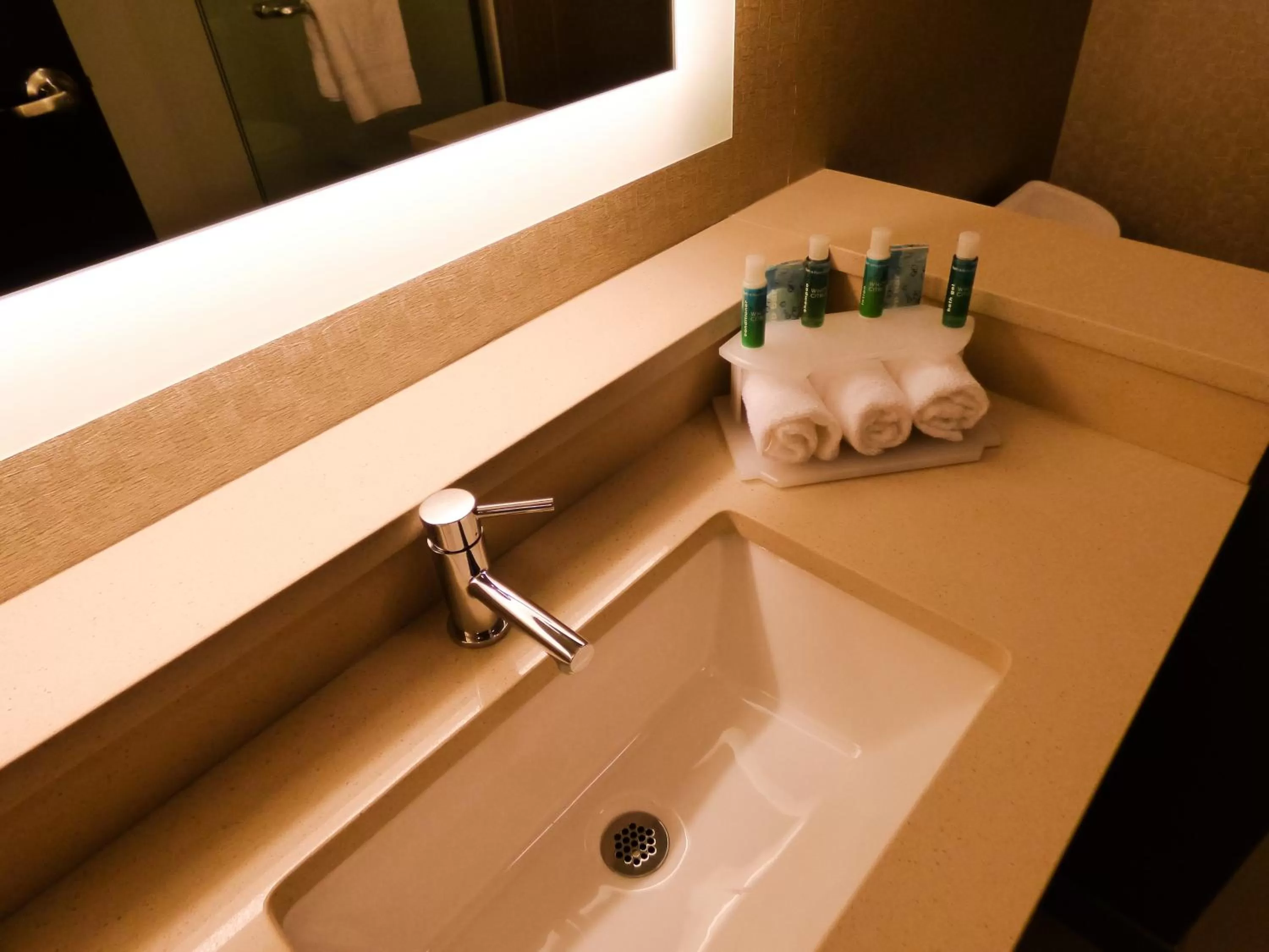 Bathroom in Holiday Inn Express & Suites Plymouth - Ann Arbor Area by IHG