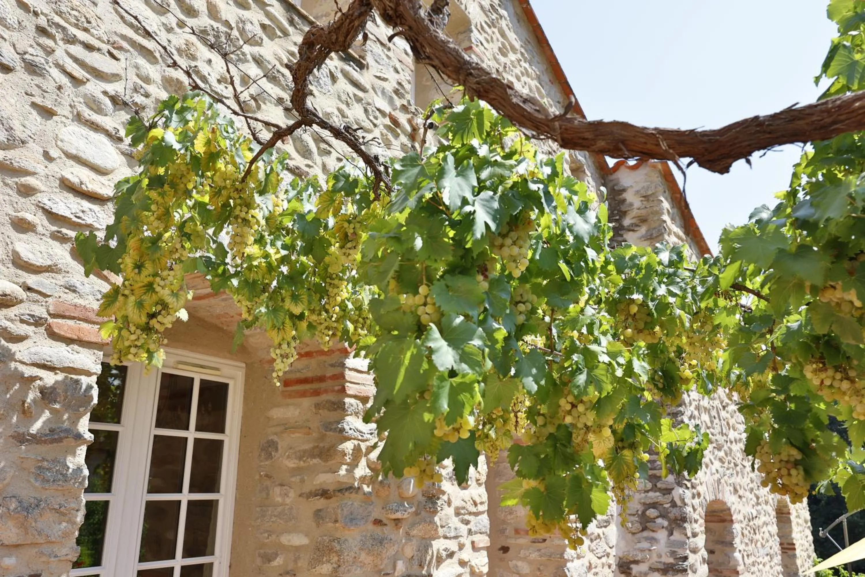 Hotel Le Mas Trilles