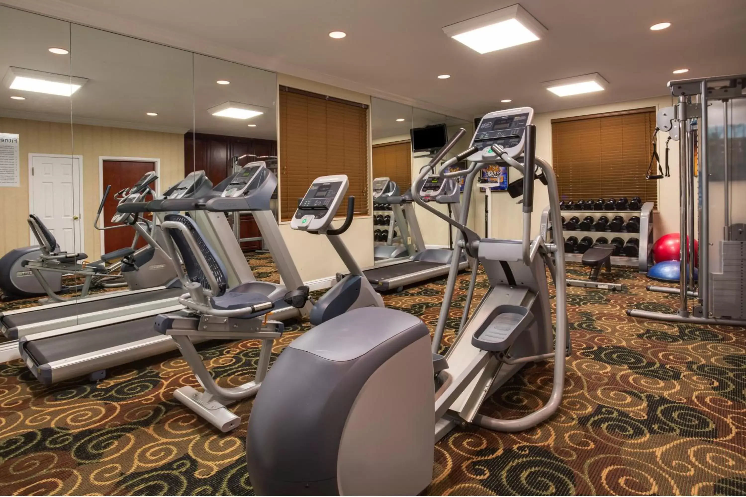 Fitness centre/facilities, Fitness Center/Facilities in Holiday Inn Express Harvey-Marrero, an IHG Hotel