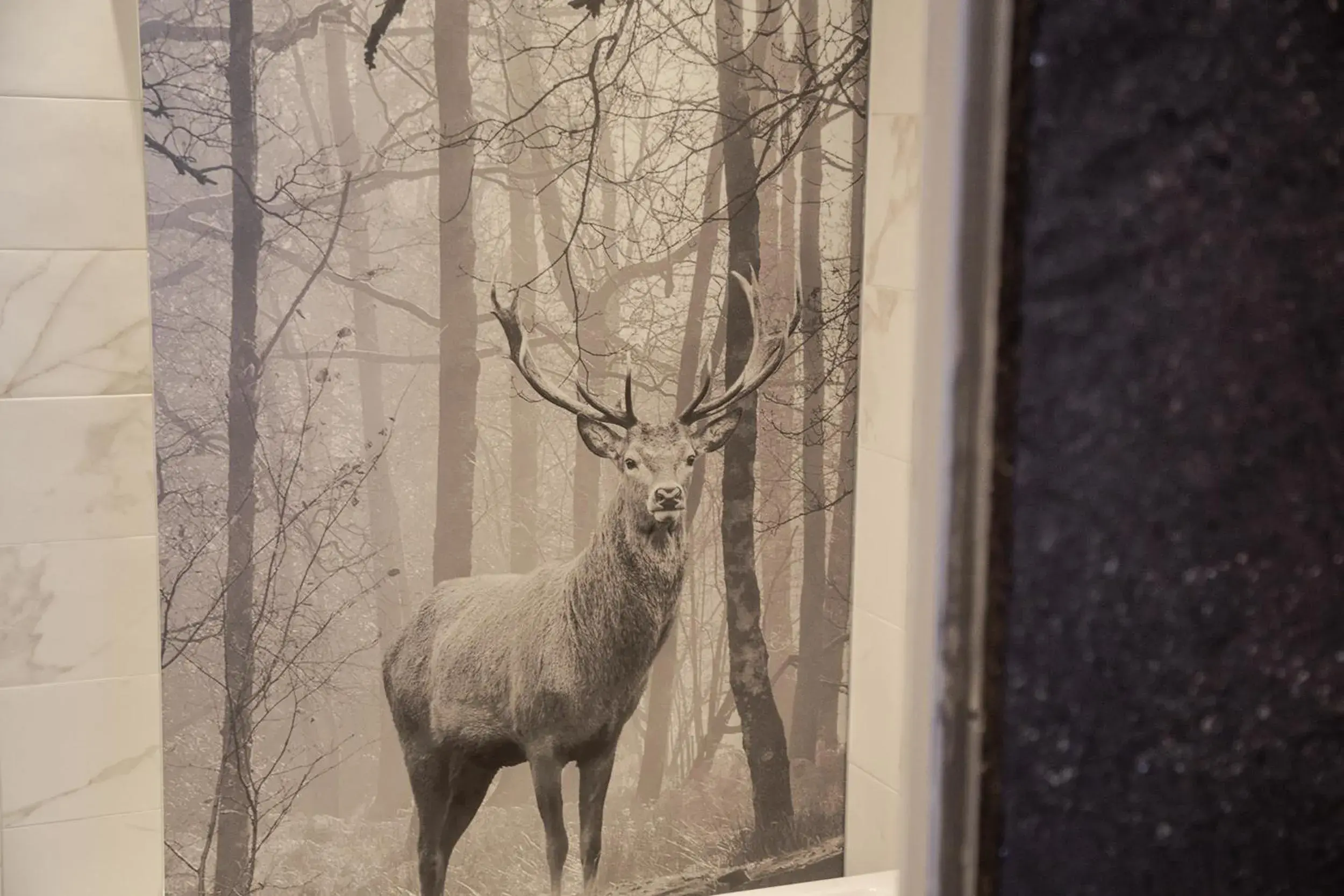 Bathroom, Other Animals in Hotel Freina