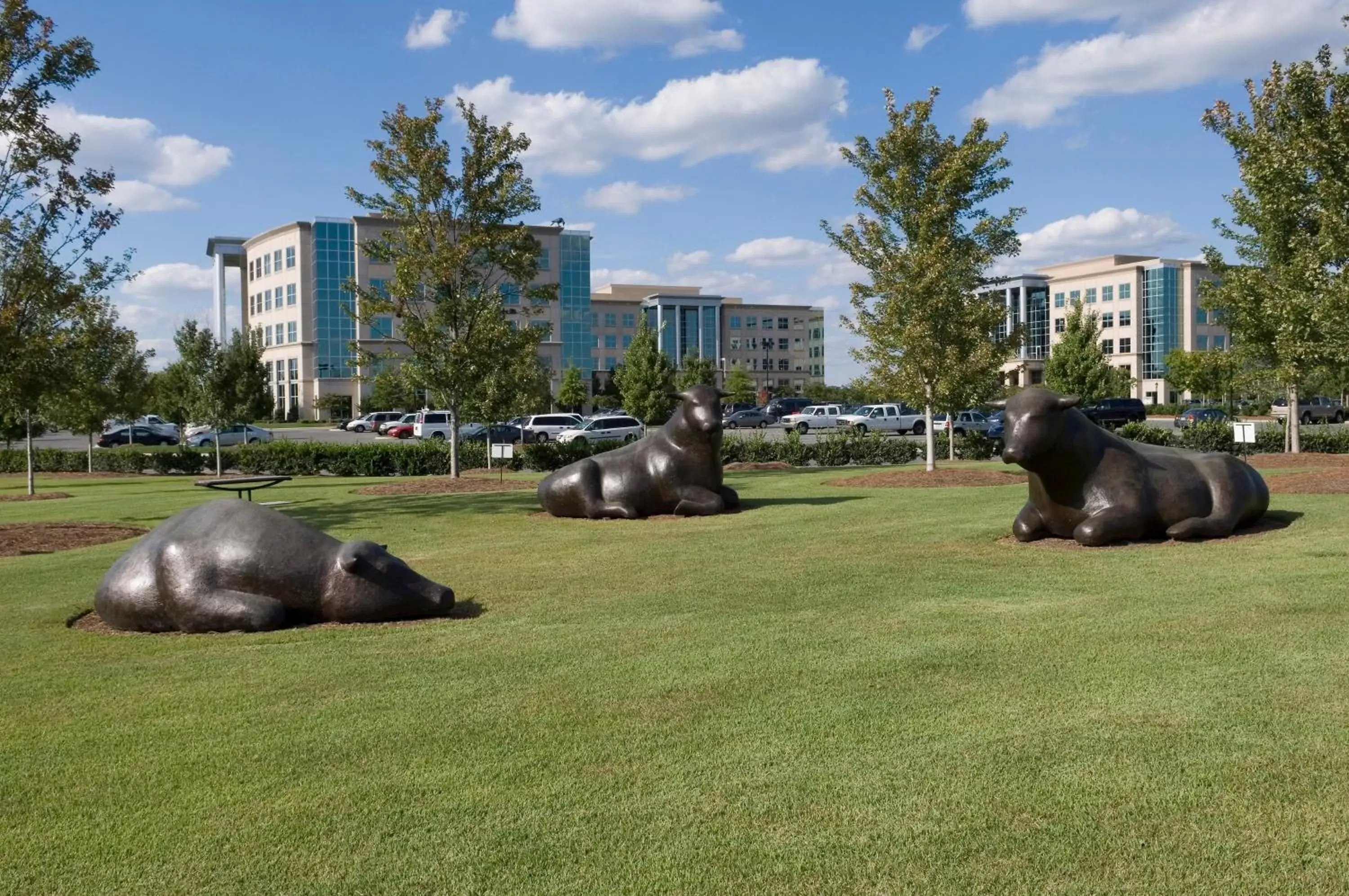 Fitness centre/facilities, Other Animals in Staybridge Suites - Charlotte Ballantyne, an IHG Hotel