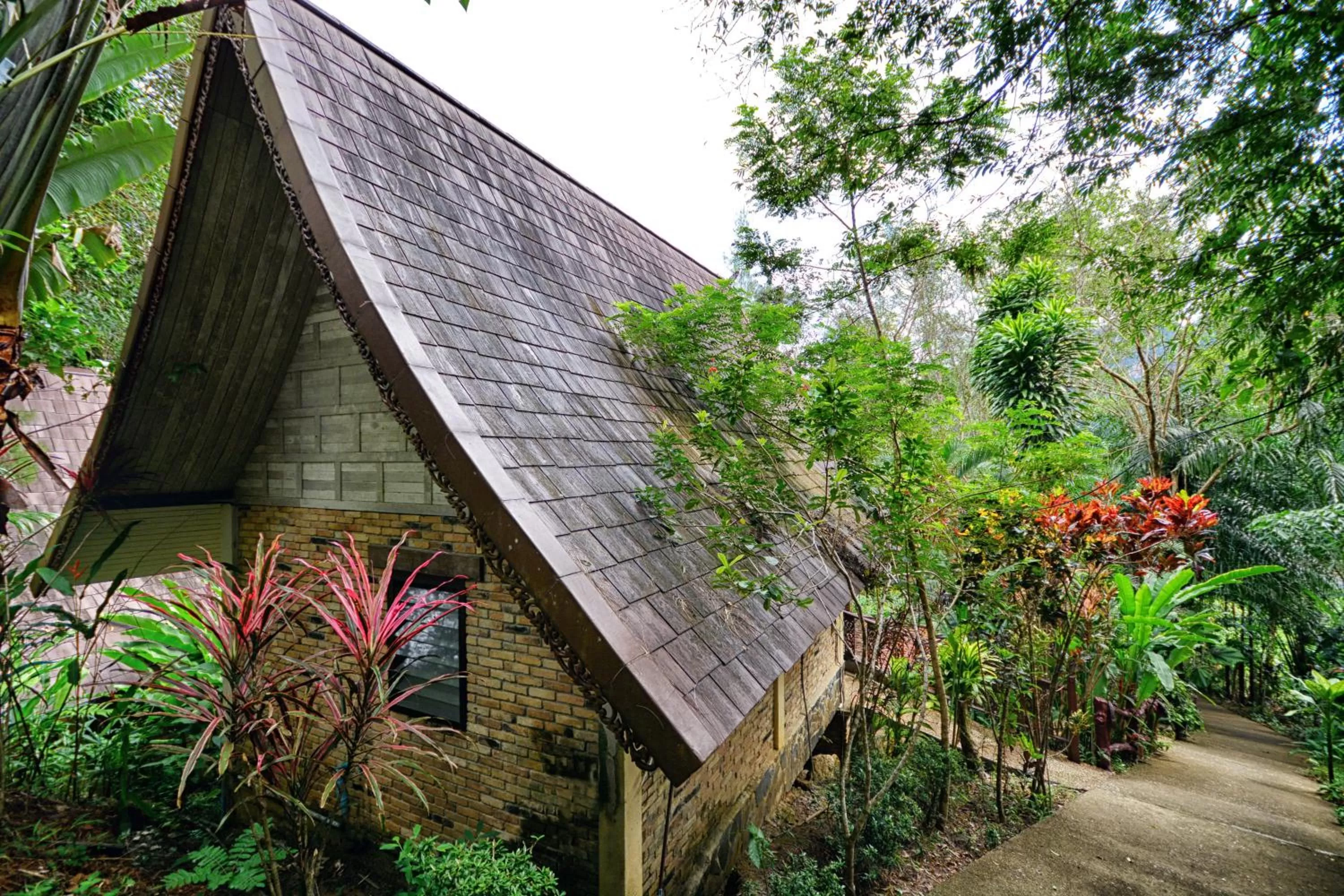 Property building in Khao Sok Las Orquideas Resort