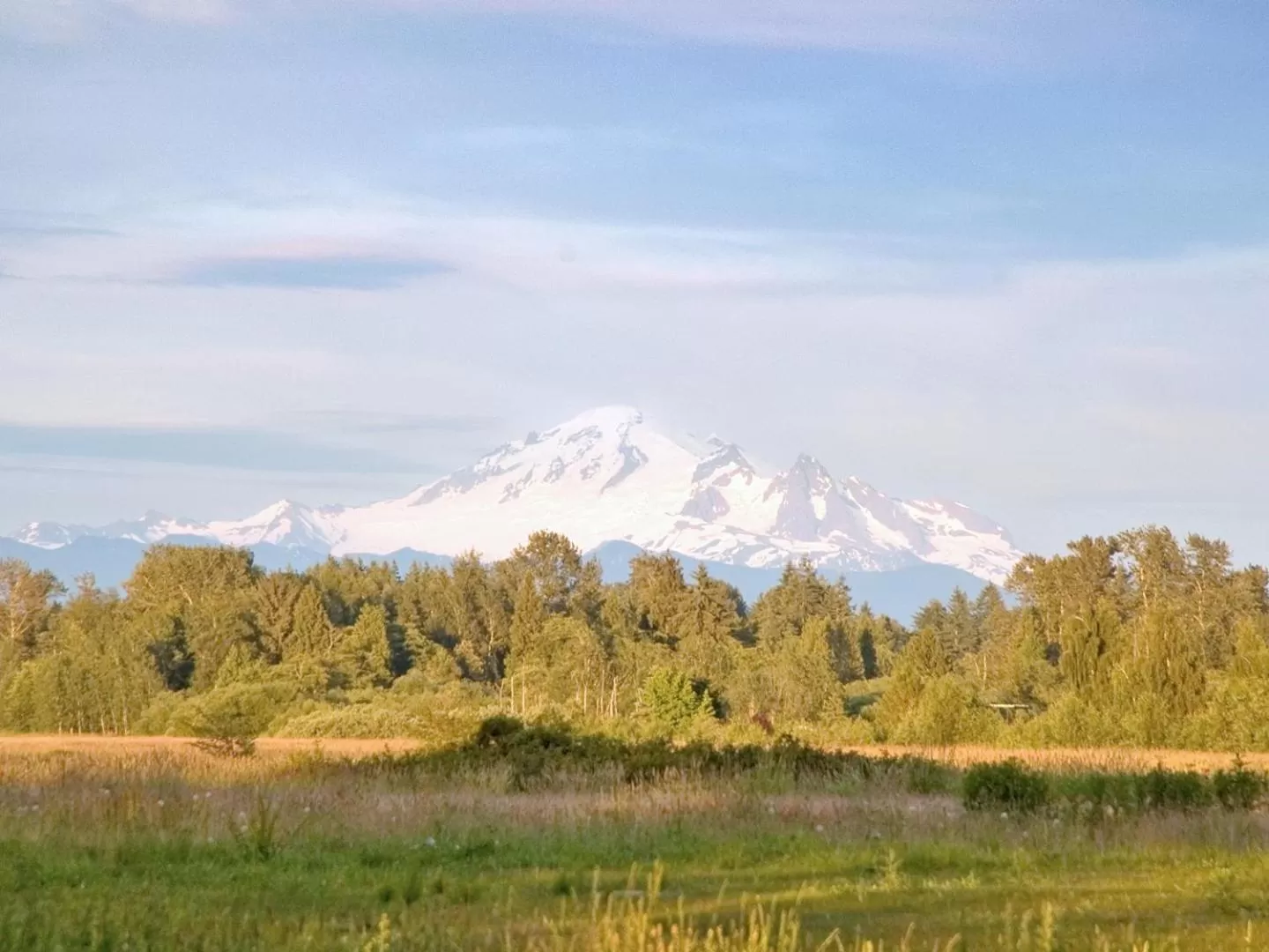 Natural landscape in Raintree's Sandcastle, Birch Bay