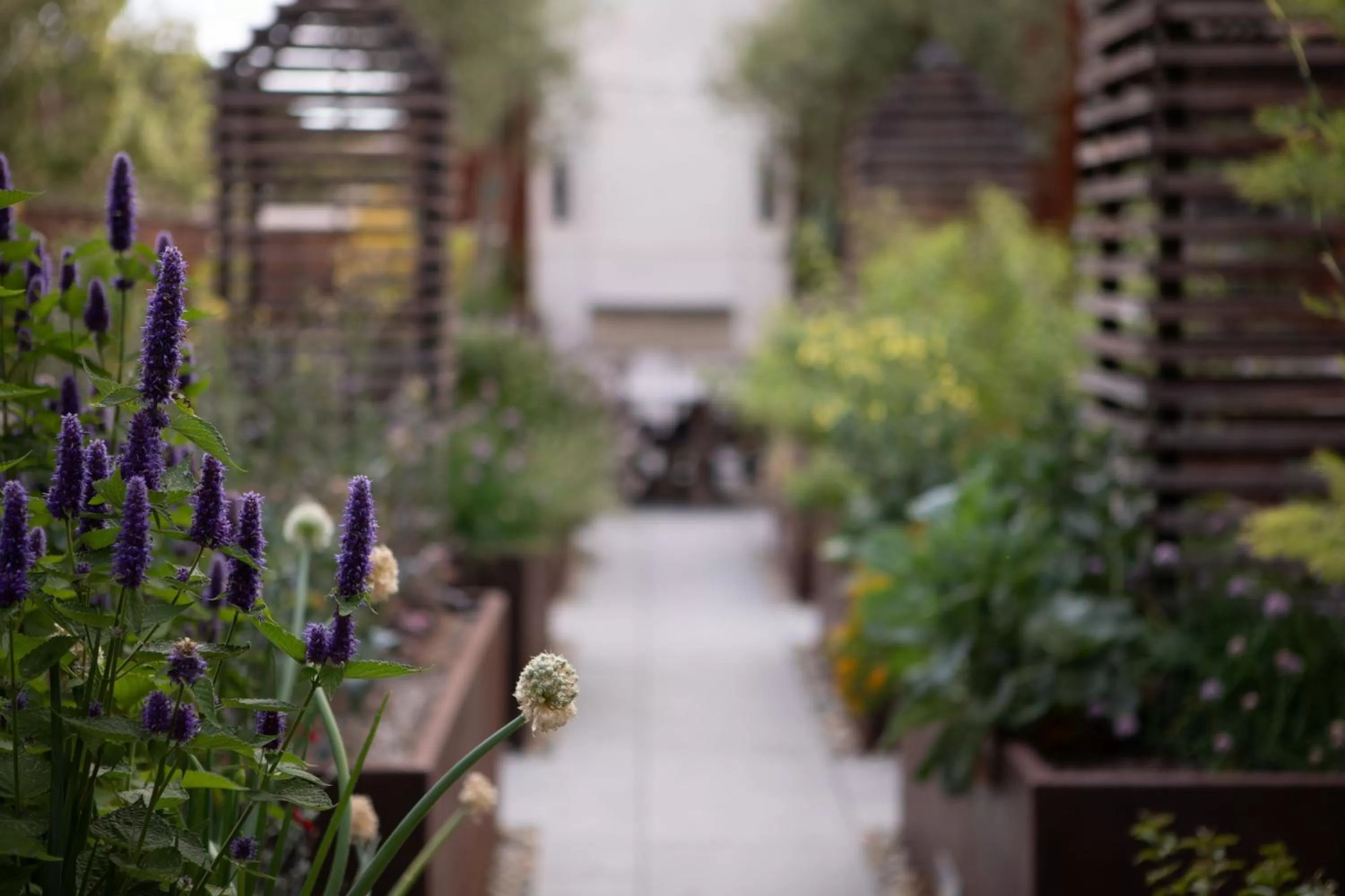 Other in HOTEL CERRO, Autograph Collection