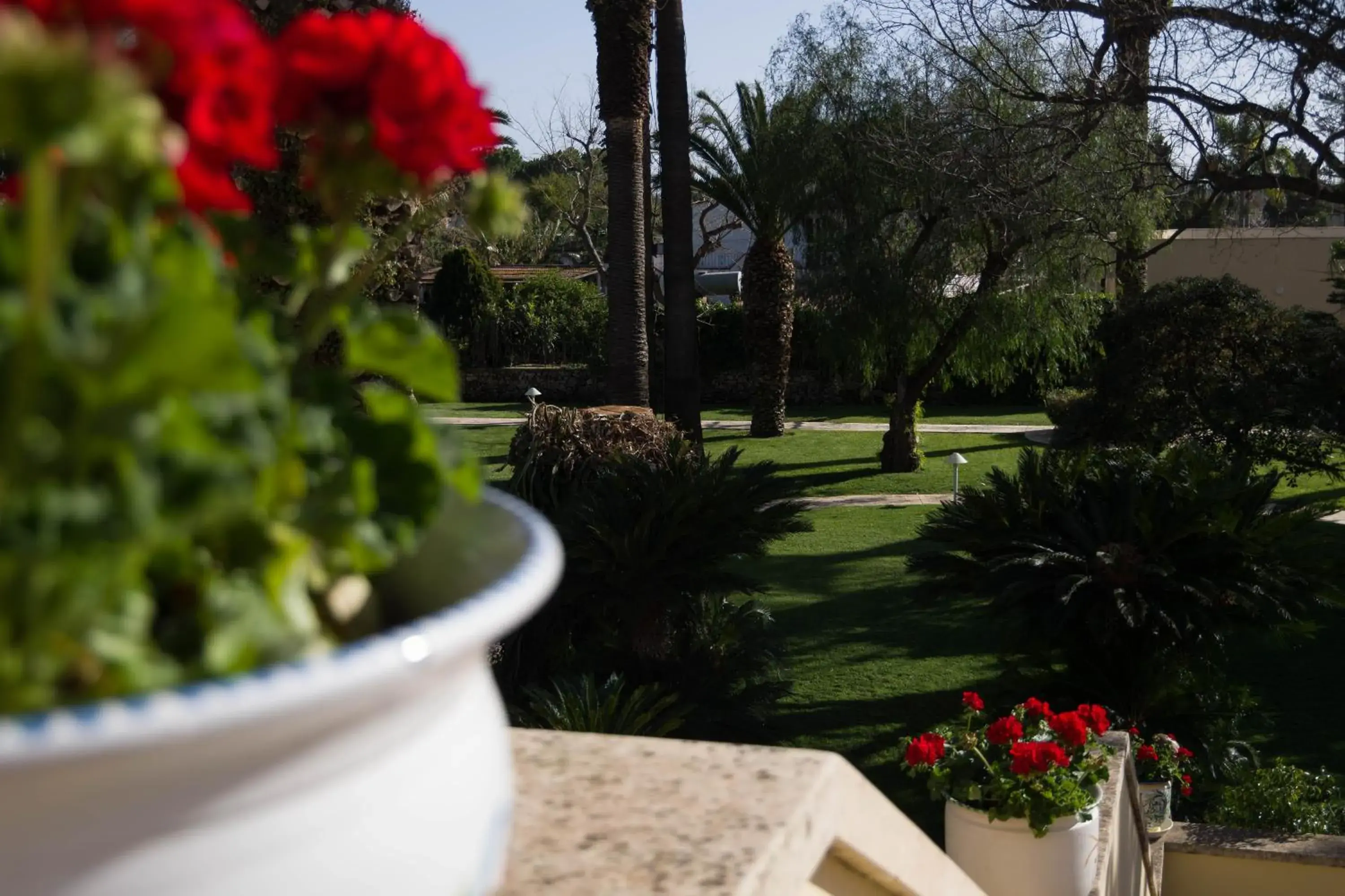 Garden in Hotel Caiammari