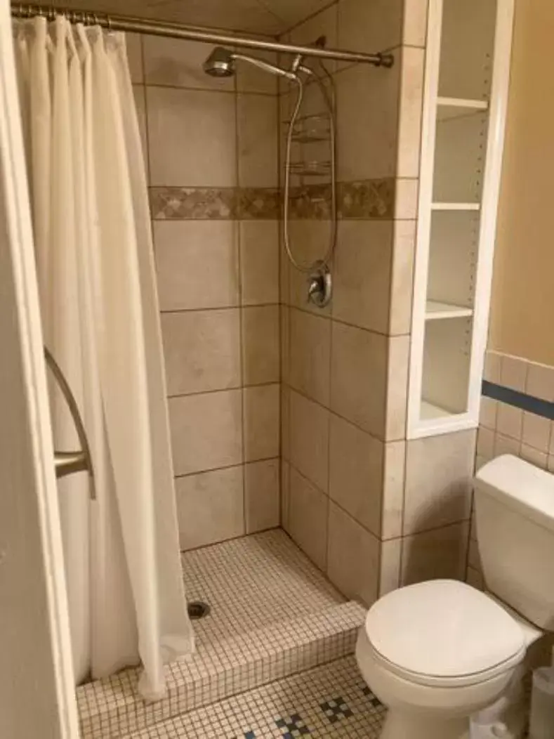 Shower, Bathroom in Goldsmith's River Front Inn