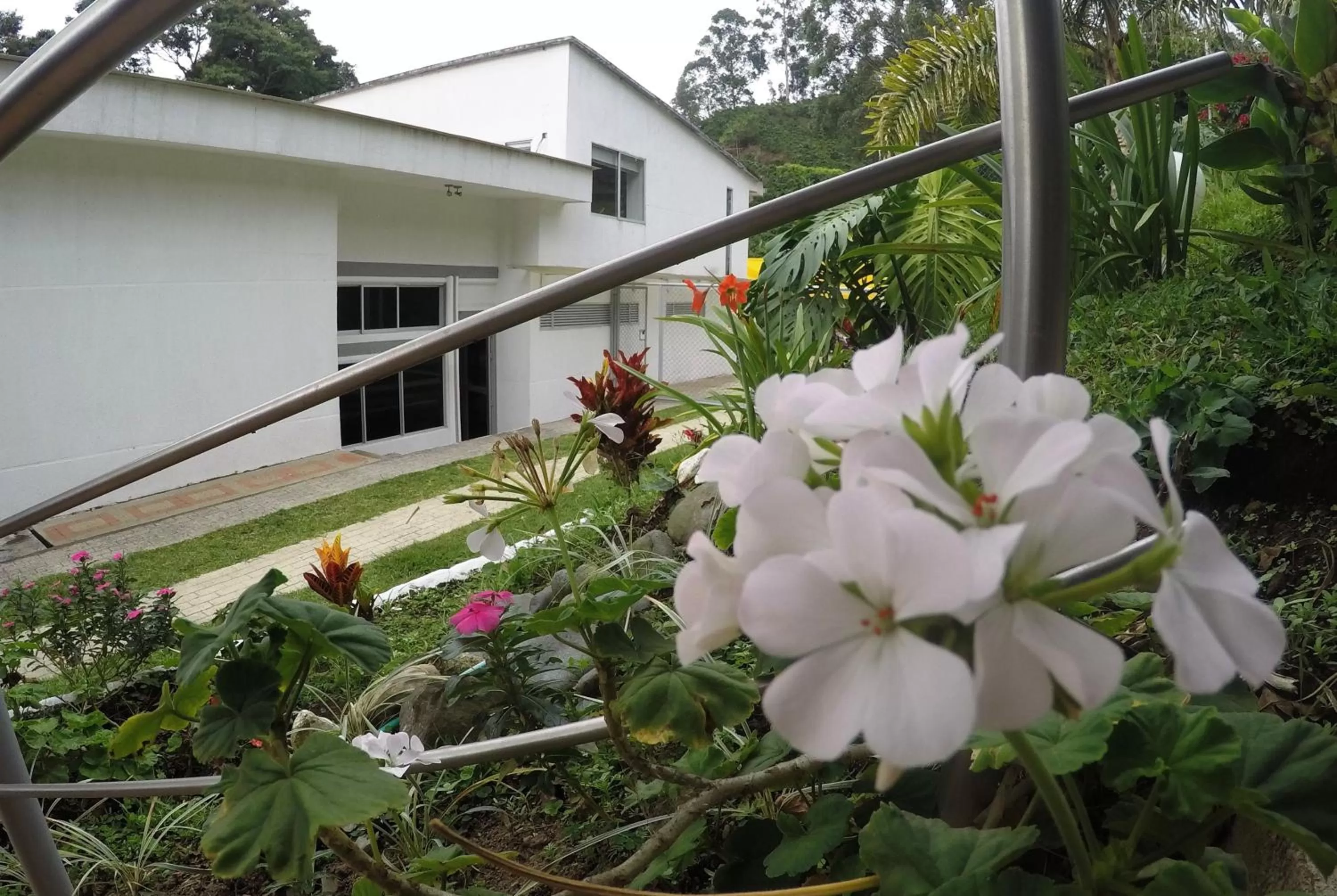 Restaurant/places to eat in Sky Club Eco Hotel