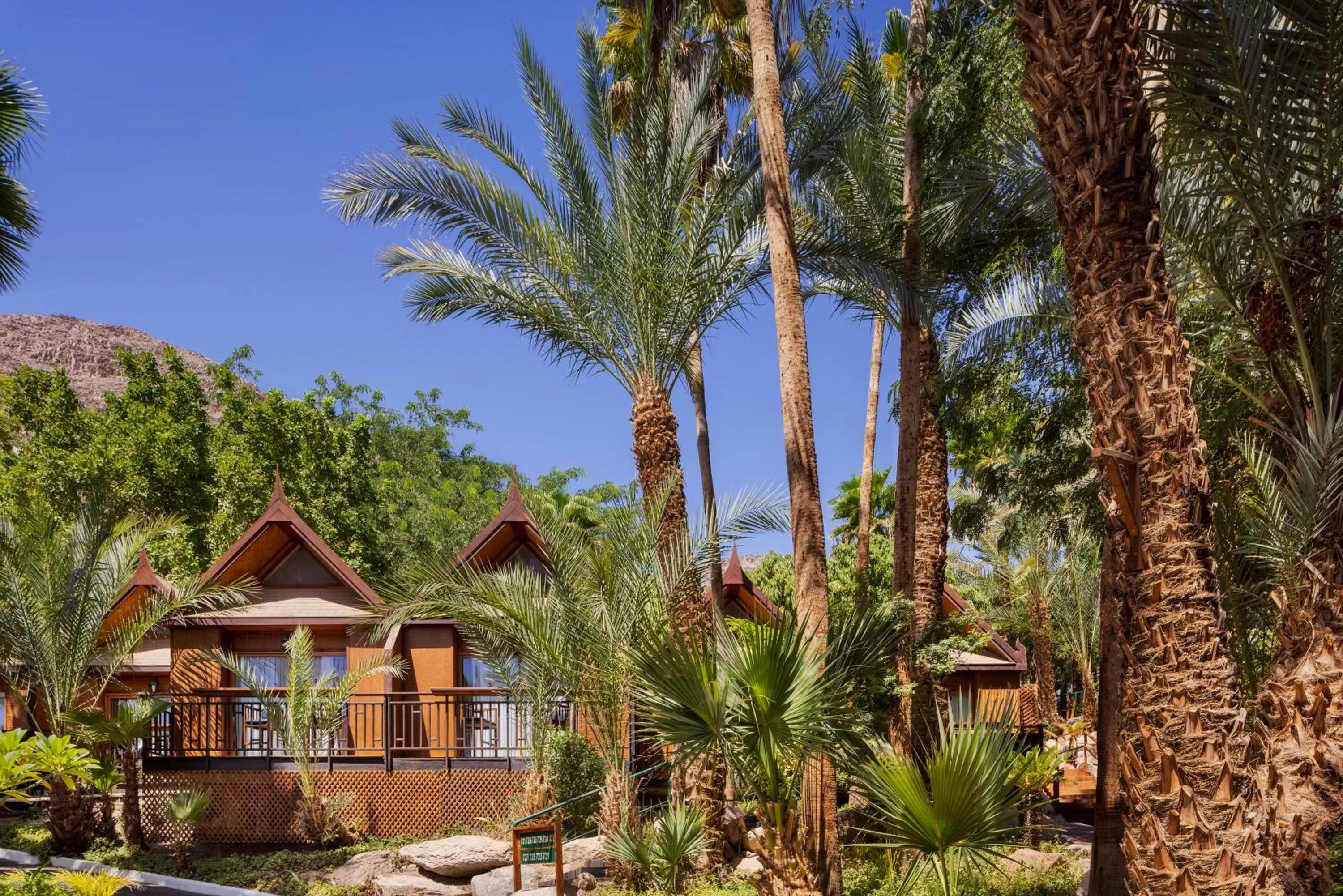 Natural landscape in Herbert Samuel Royal Shangri-La Eilat