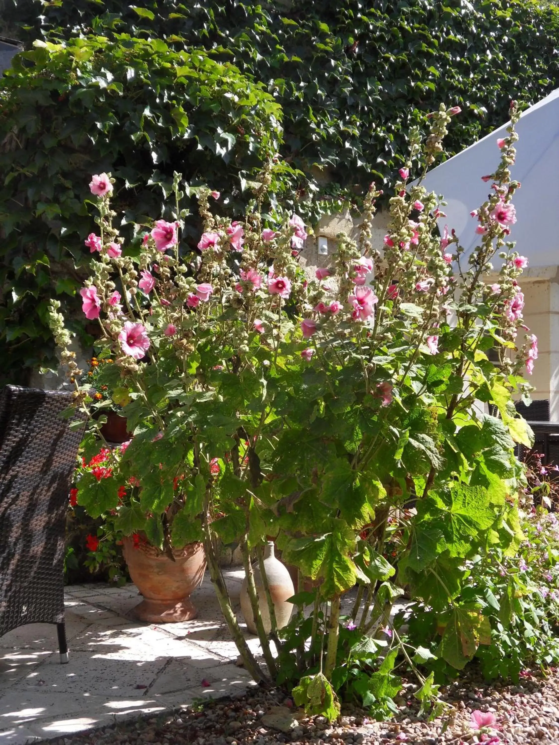 Garden in Troglodelice