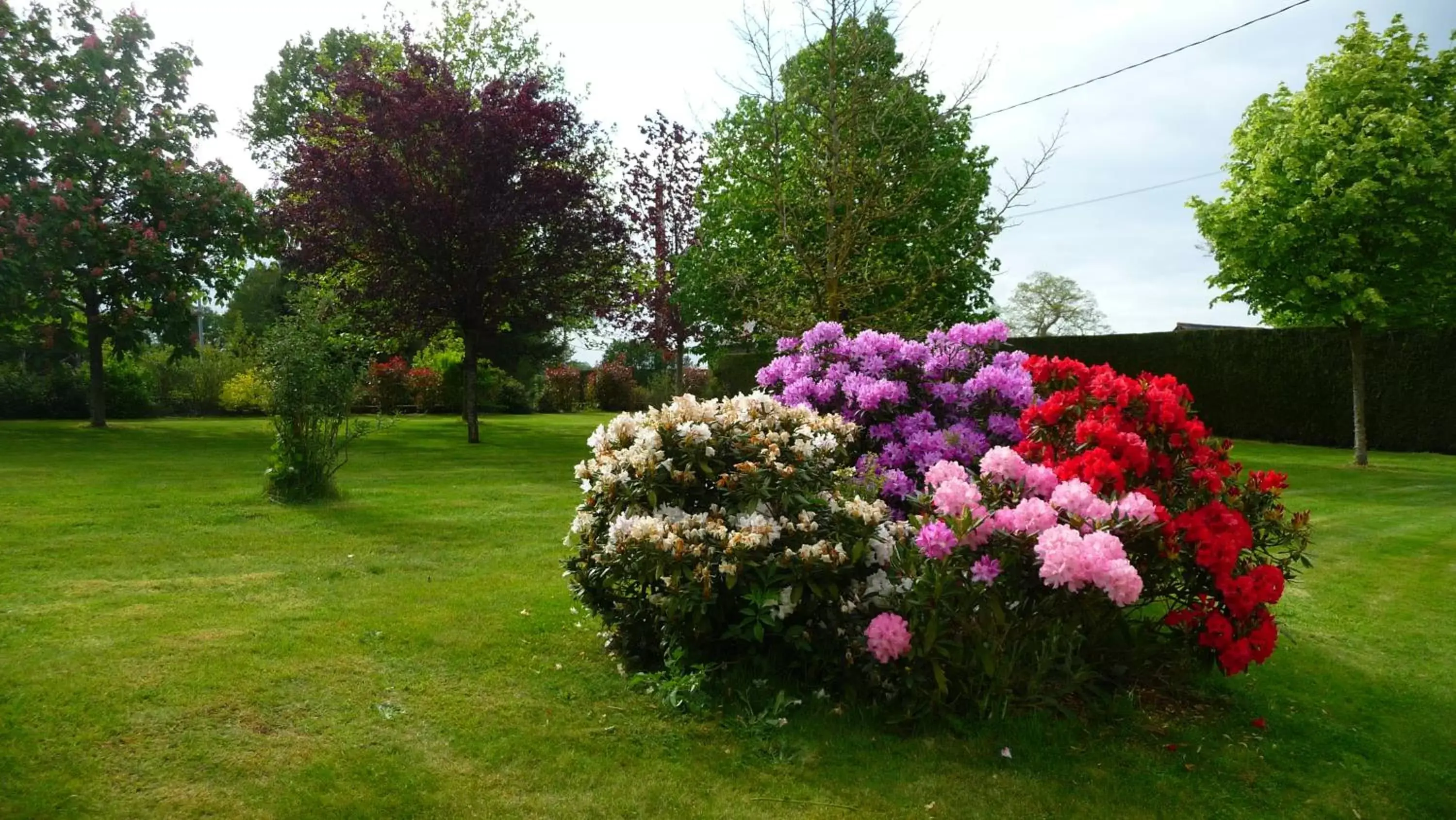 Garden in Chambres d'hôtes Le Bas Rassinoux