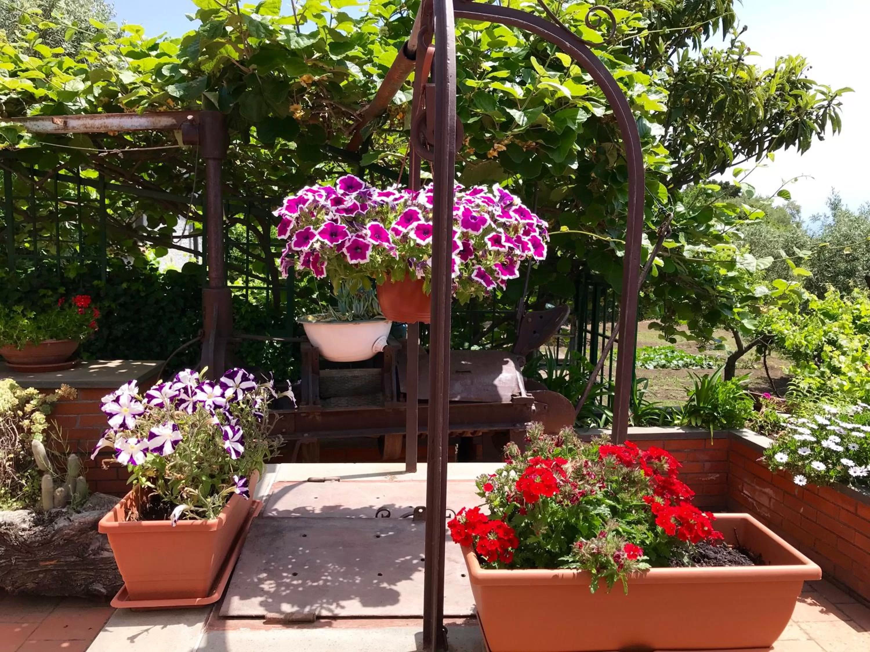 Decorative detail in b&b Casa di Antonio_Etna Vacanze