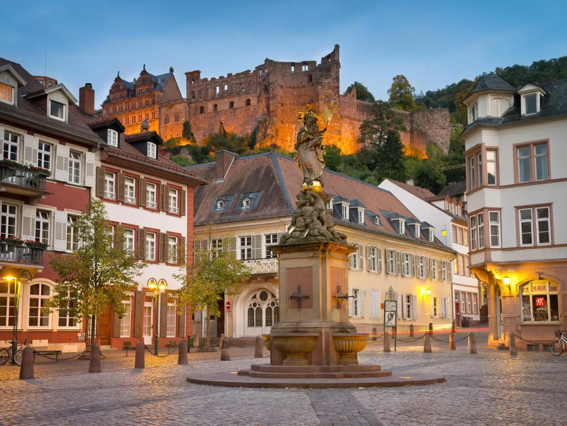 Nearby landmark, Neighborhood in Hotel Europäischer Hof Heidelberg