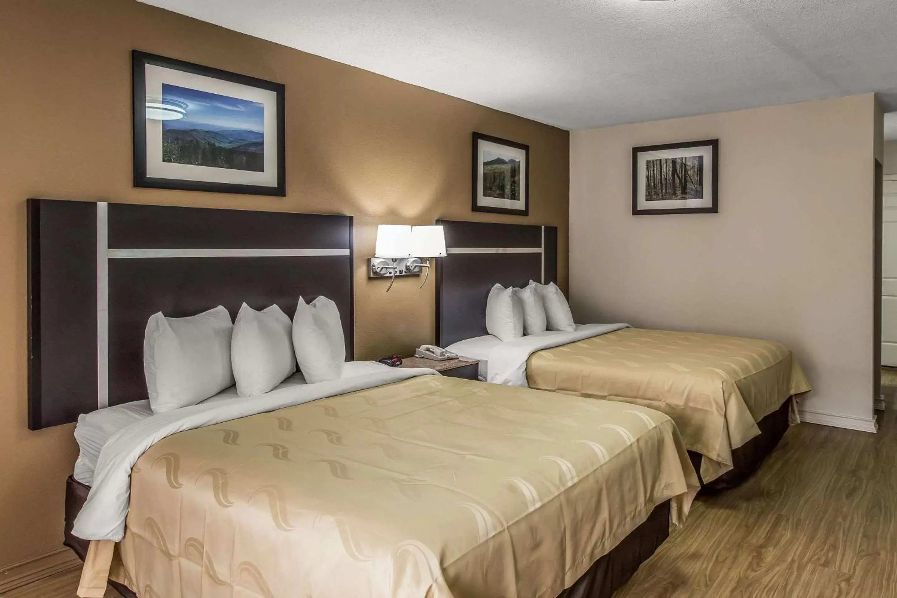 Photo of the whole room, Bed in Quality Inn & Suites Gatlinburg