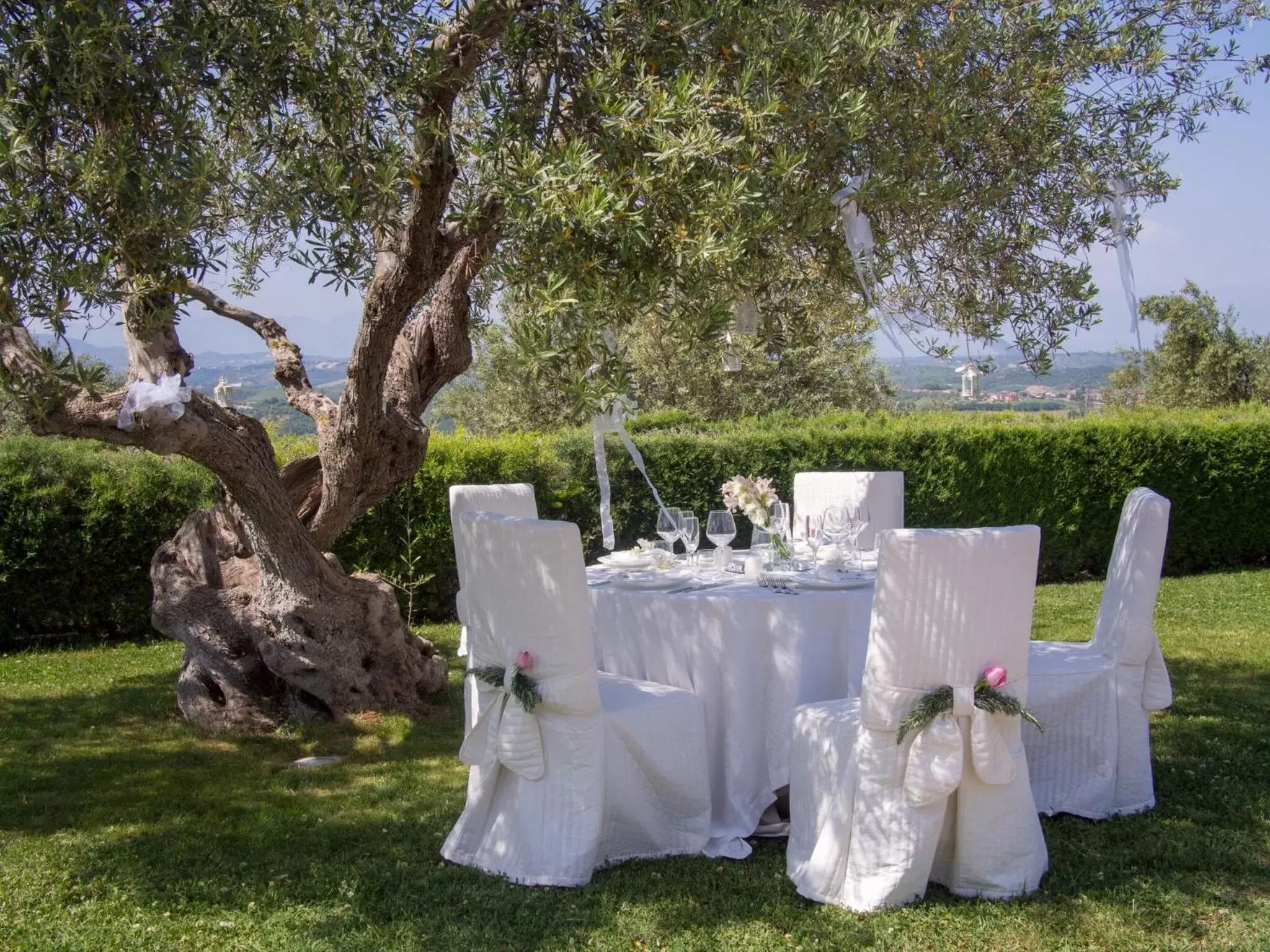 Restaurant/places to eat, Banquet Facilities in Tenuta Contessa - Relais & Spa