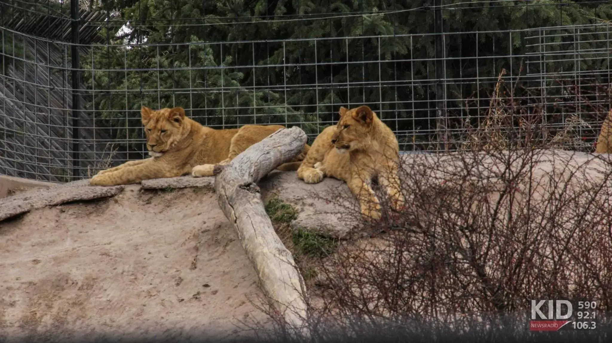 Nearby landmark, Other Animals in Candlewood Suites Idaho Falls, an IHG Hotel