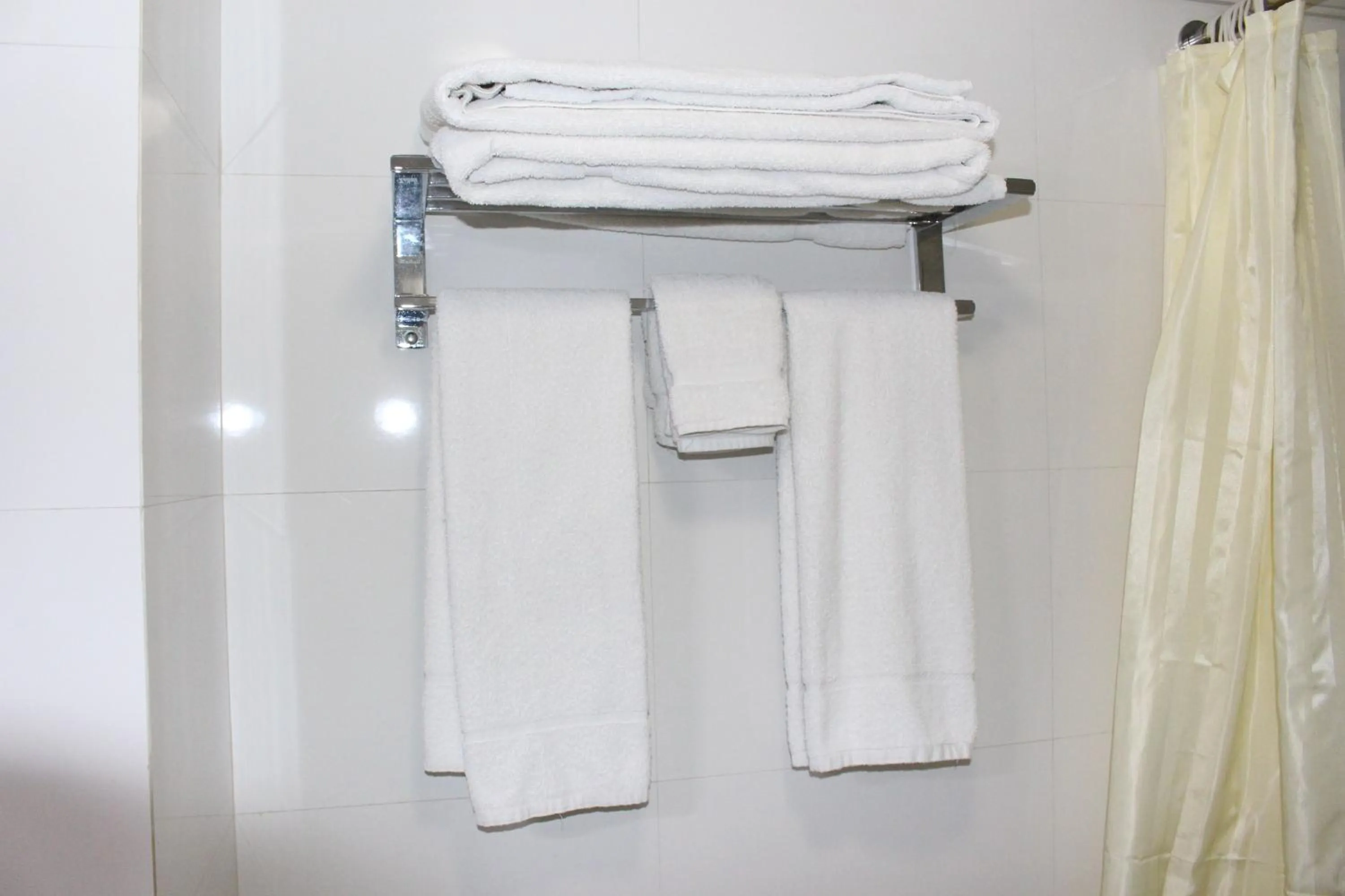 Bathroom in Nascent Gardenia Baridhara