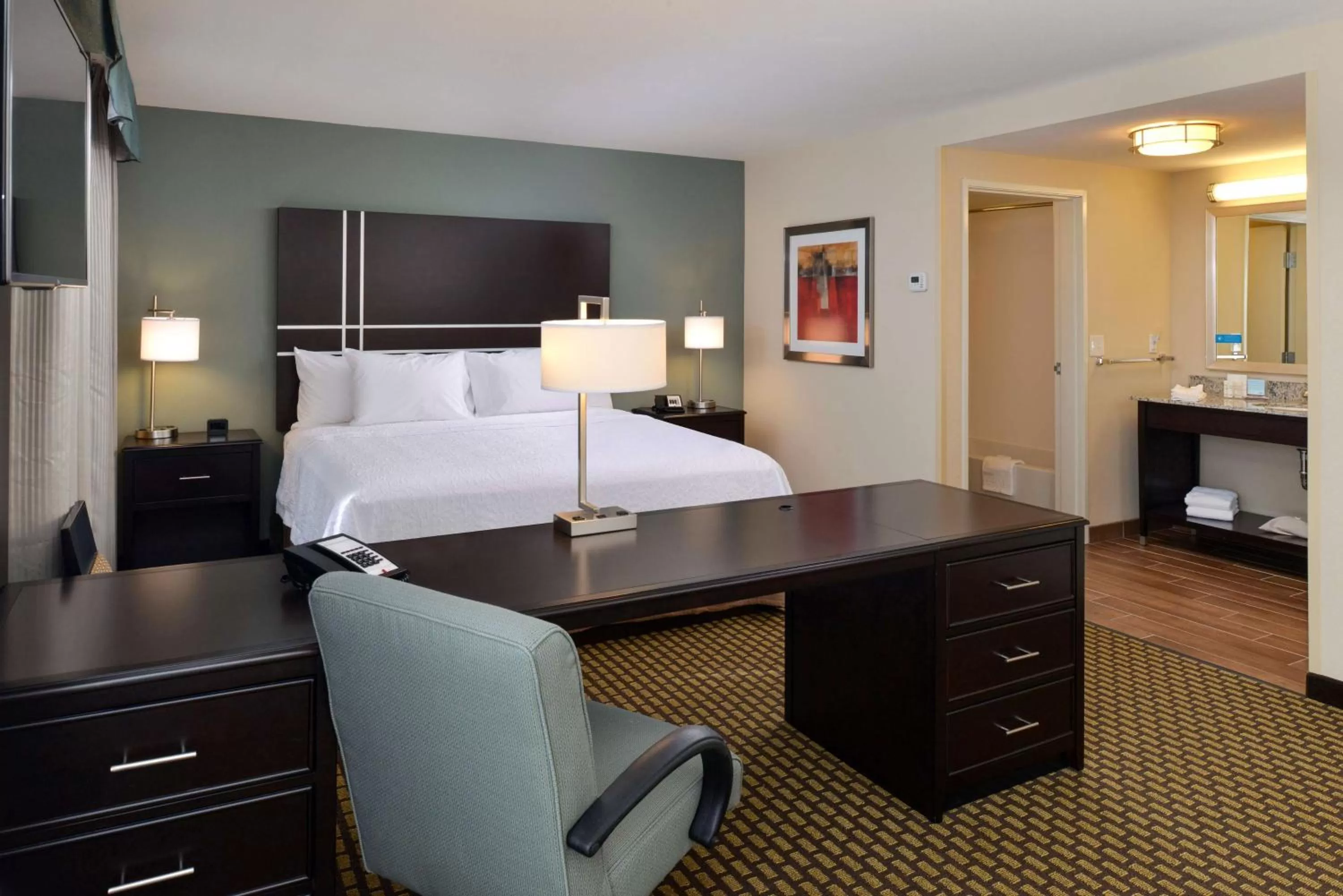King Studio in Hampton Inn & Suites Douglas