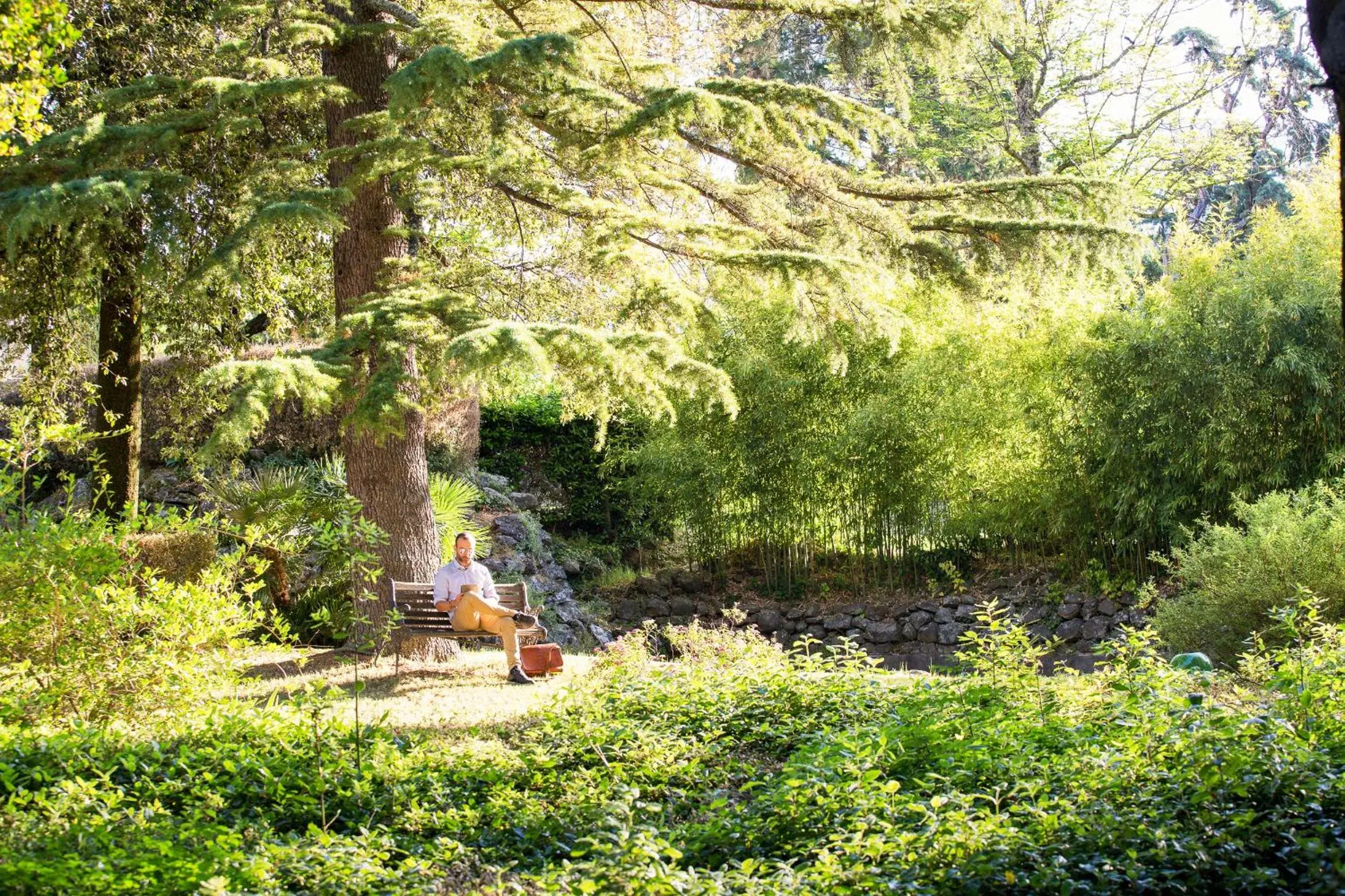 Garden in Villa Pitiana