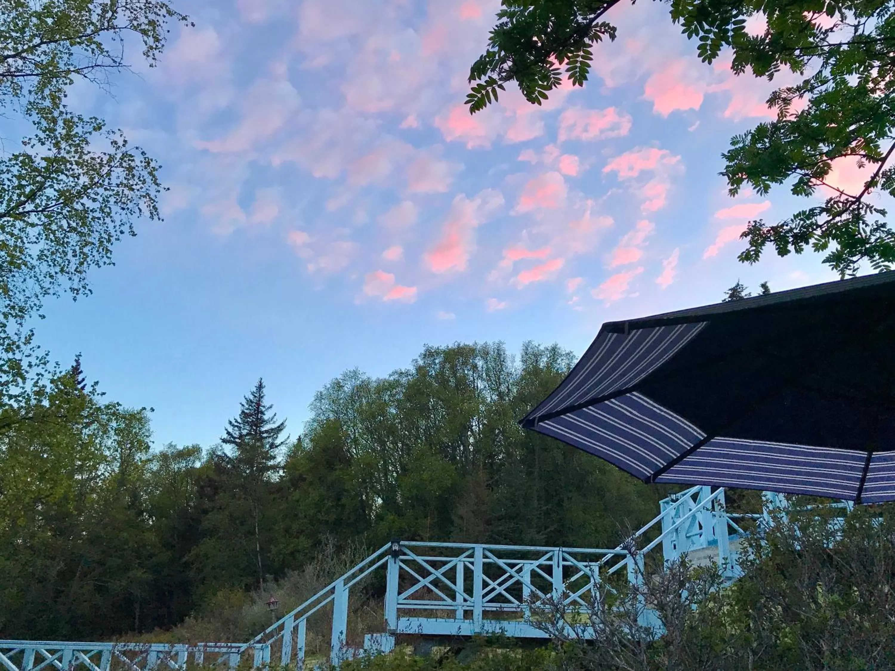 Patio in Halcyon Heights B&B/Inn