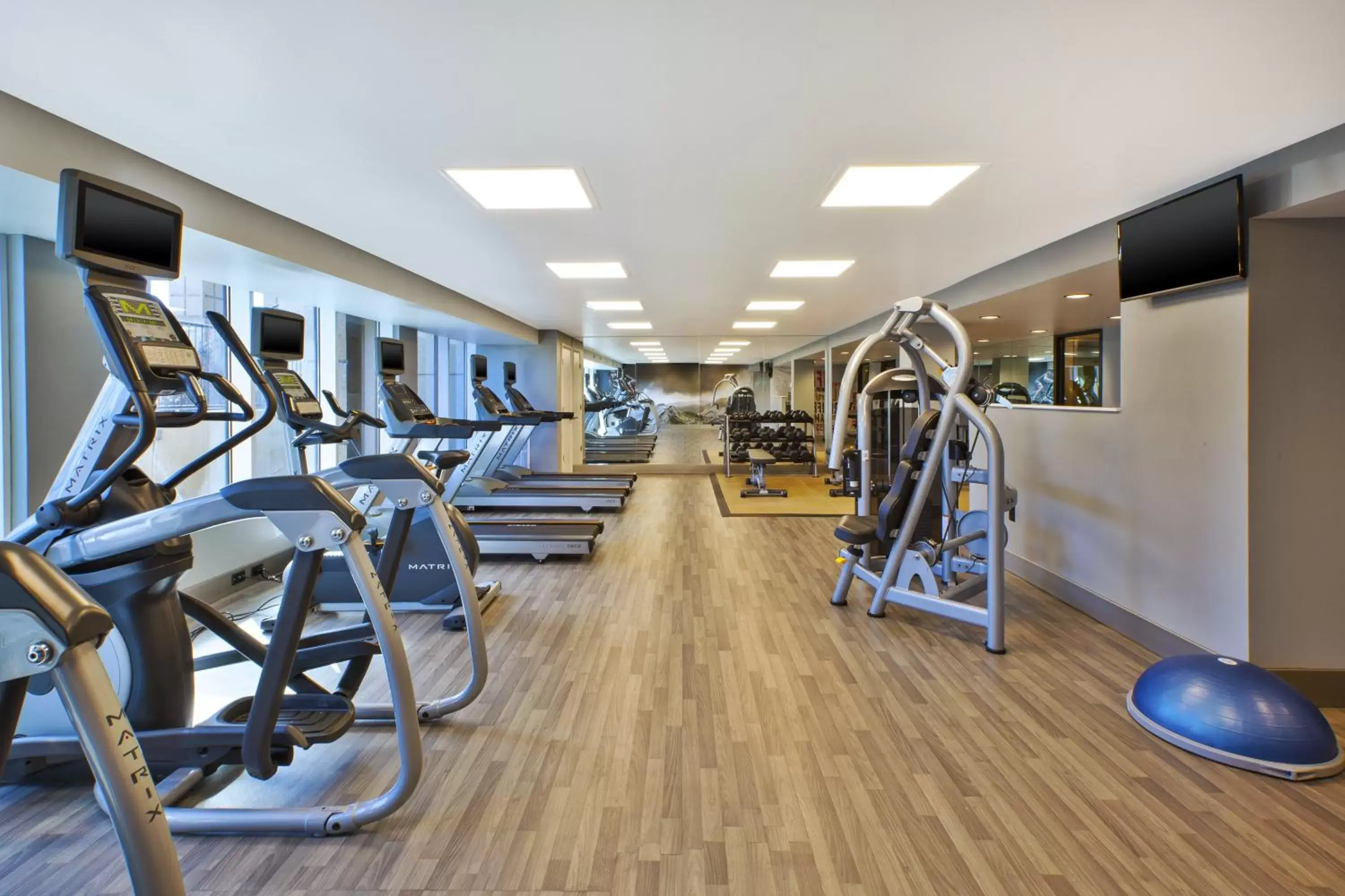 Spa and wellness centre/facilities, Fitness Center/Facilities in Holiday Inn Gaithersburg, an IHG Hotel
